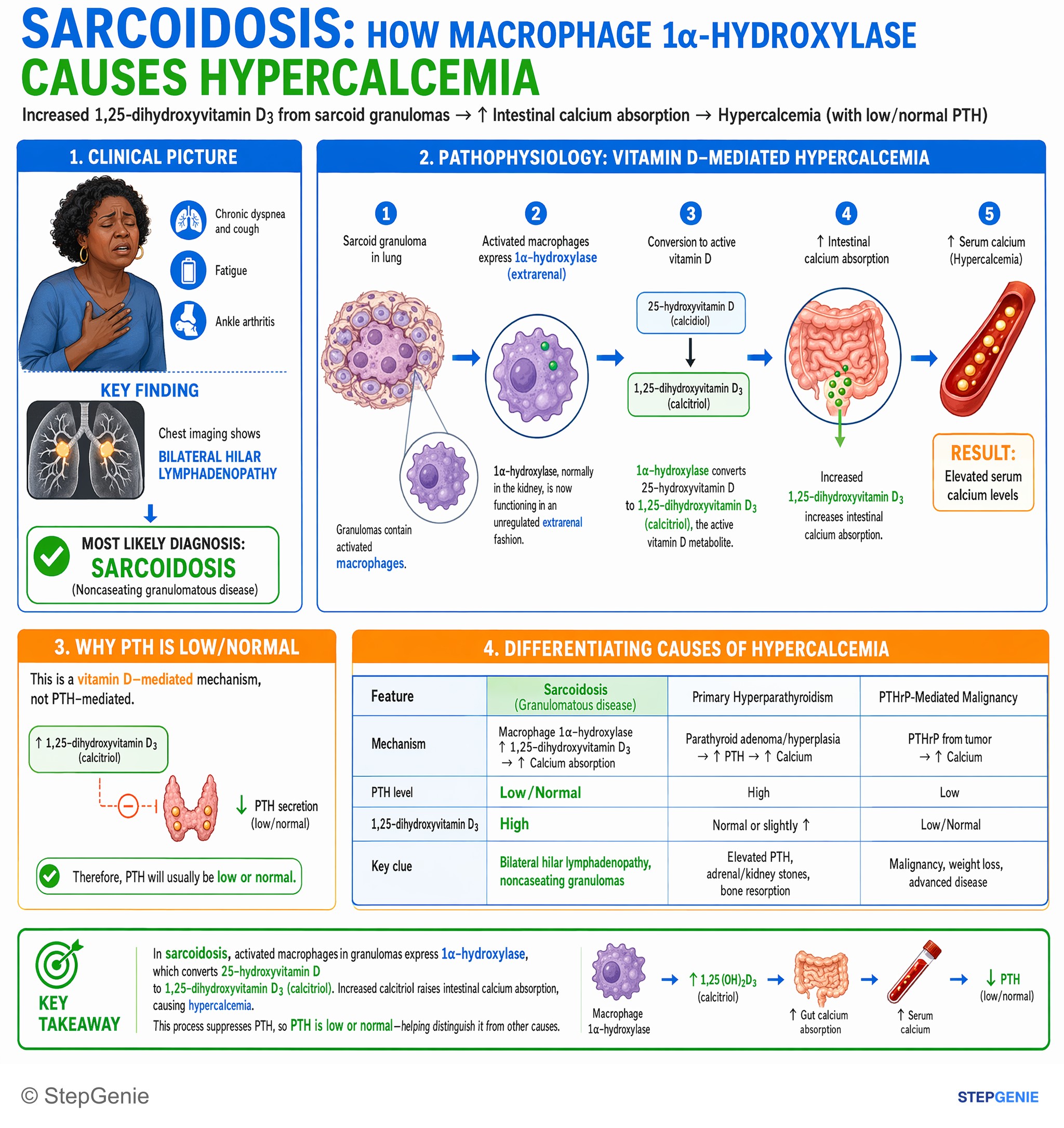 Autoimmune-related disorders — StepGenie USMLE Step 1 explanation infographic