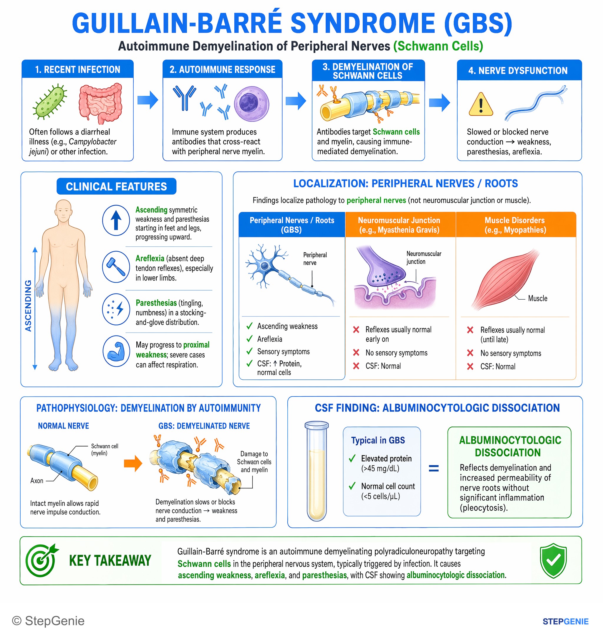 Autoimmune conditions — StepGenie USMLE Step 1 explanation infographic