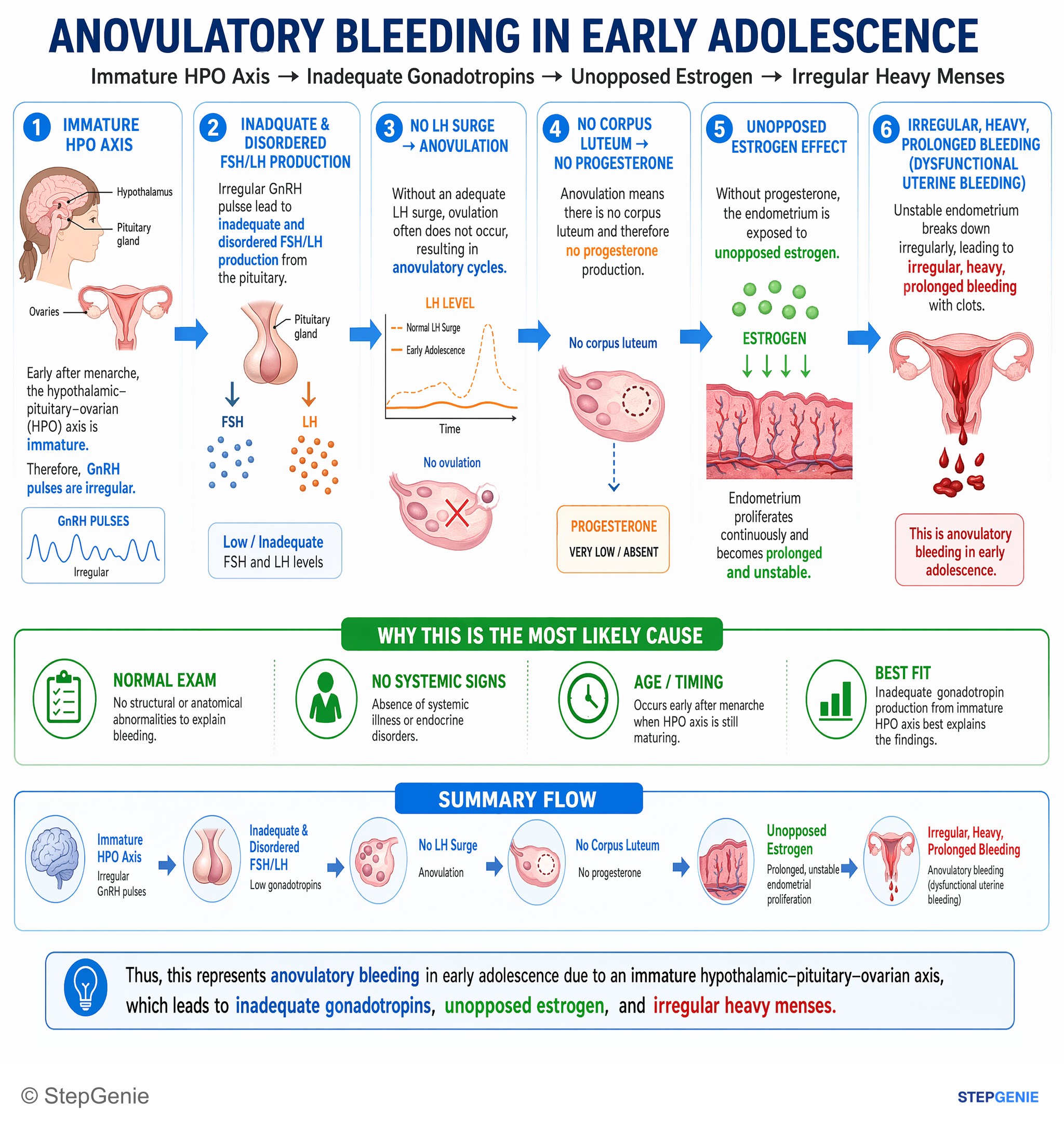 Step-by-step reasoning infographic: Anovulatory bleeding in early adolescence due to immature hypothalamic–pituitary–ovarian axis → inadequate gonadotropins → unopposed estrogen,…