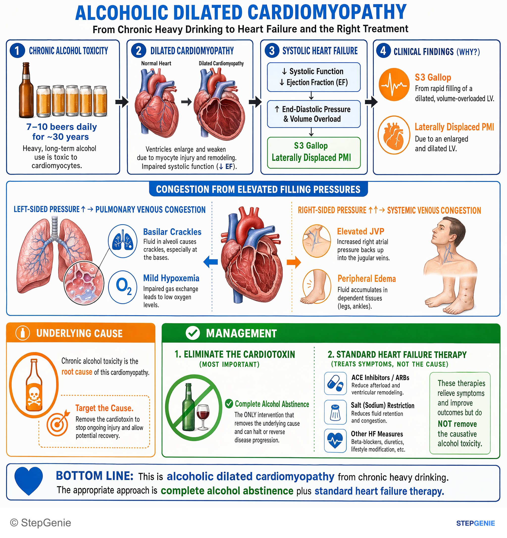 Heart failure and shock — StepGenie USMLE Step 2 explanation infographic