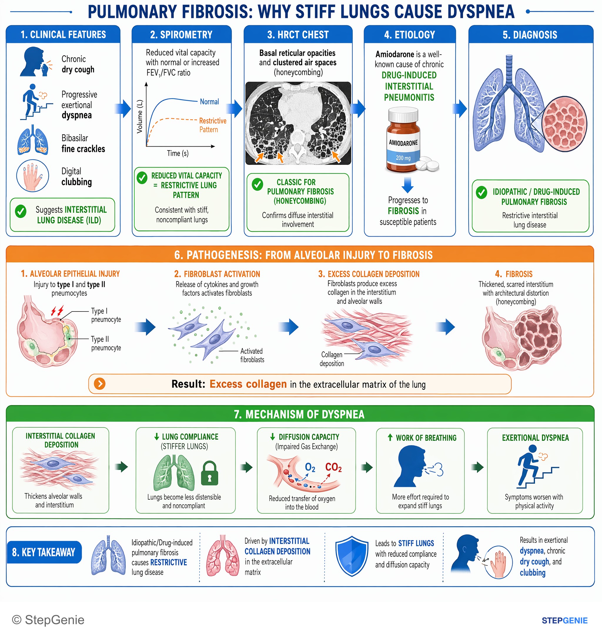 Interstitial lung disease — StepGenie USMLE Step 1 explanation infographic