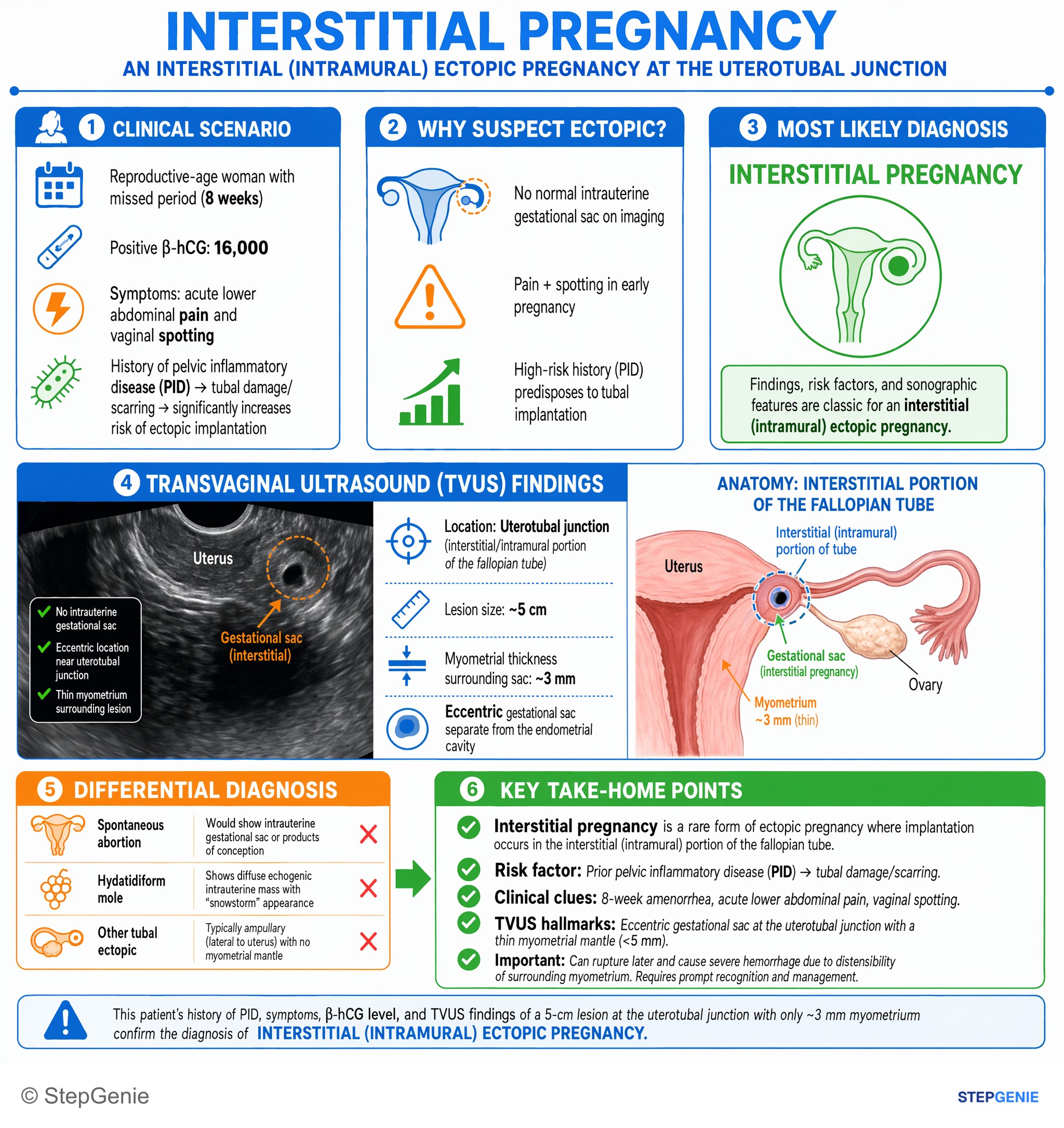 Disorders of pregnancy, childbirth, and puerperium — StepGenie USMLE Step 2 explanation infographic