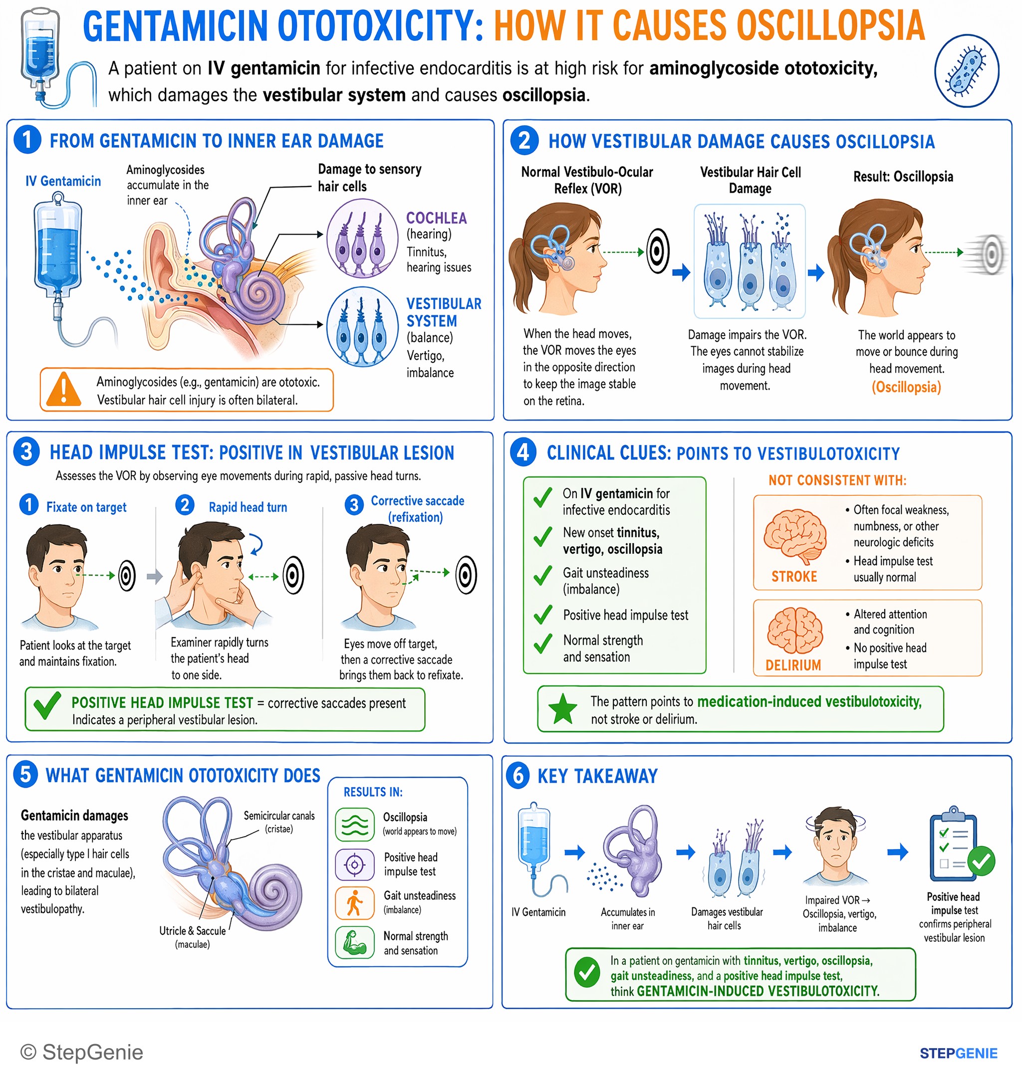 Drug effects / Toxic neuropathies — StepGenie USMLE Step 1 explanation infographic