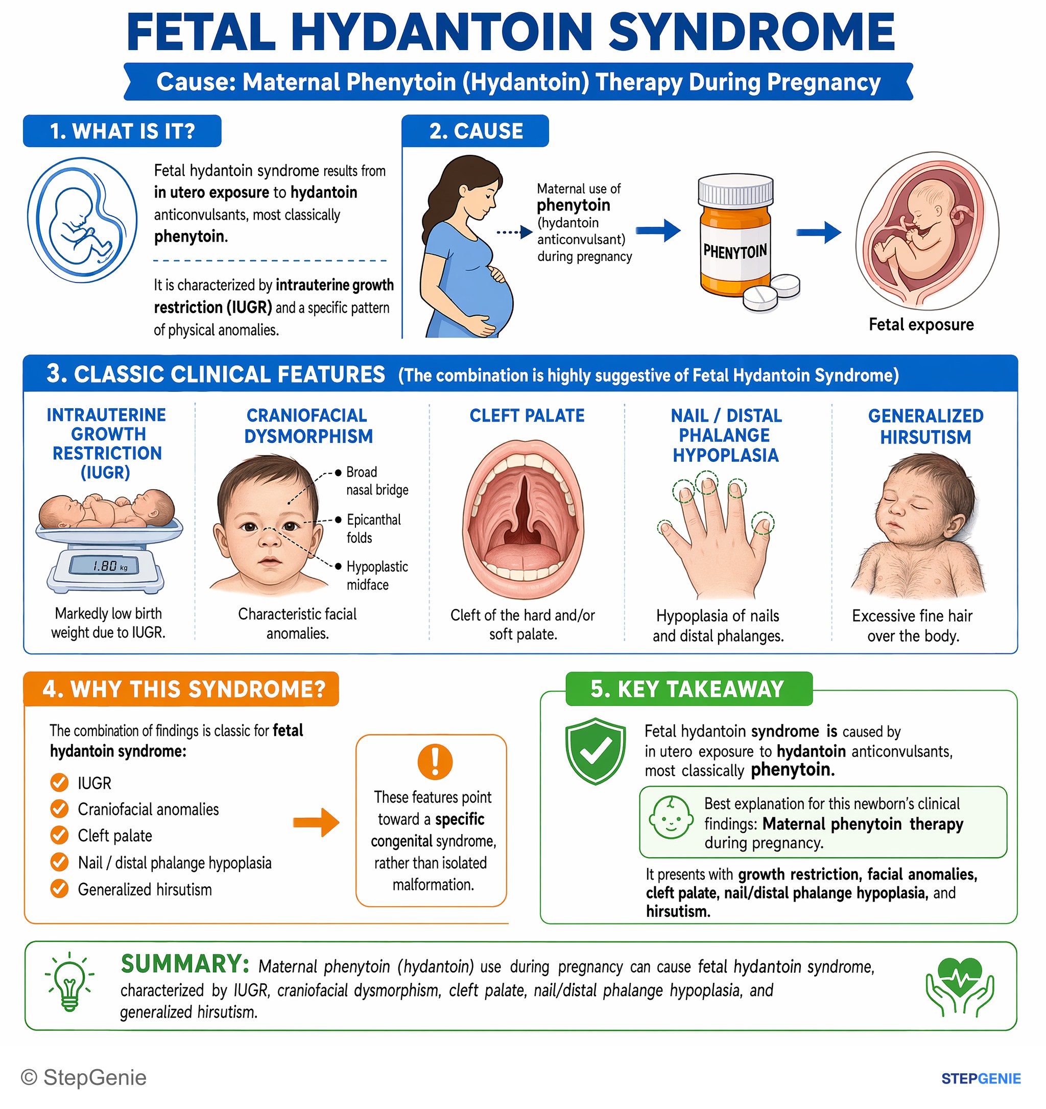 Disorders of pregnancy (non-infectious) — StepGenie USMLE Step 1 explanation infographic