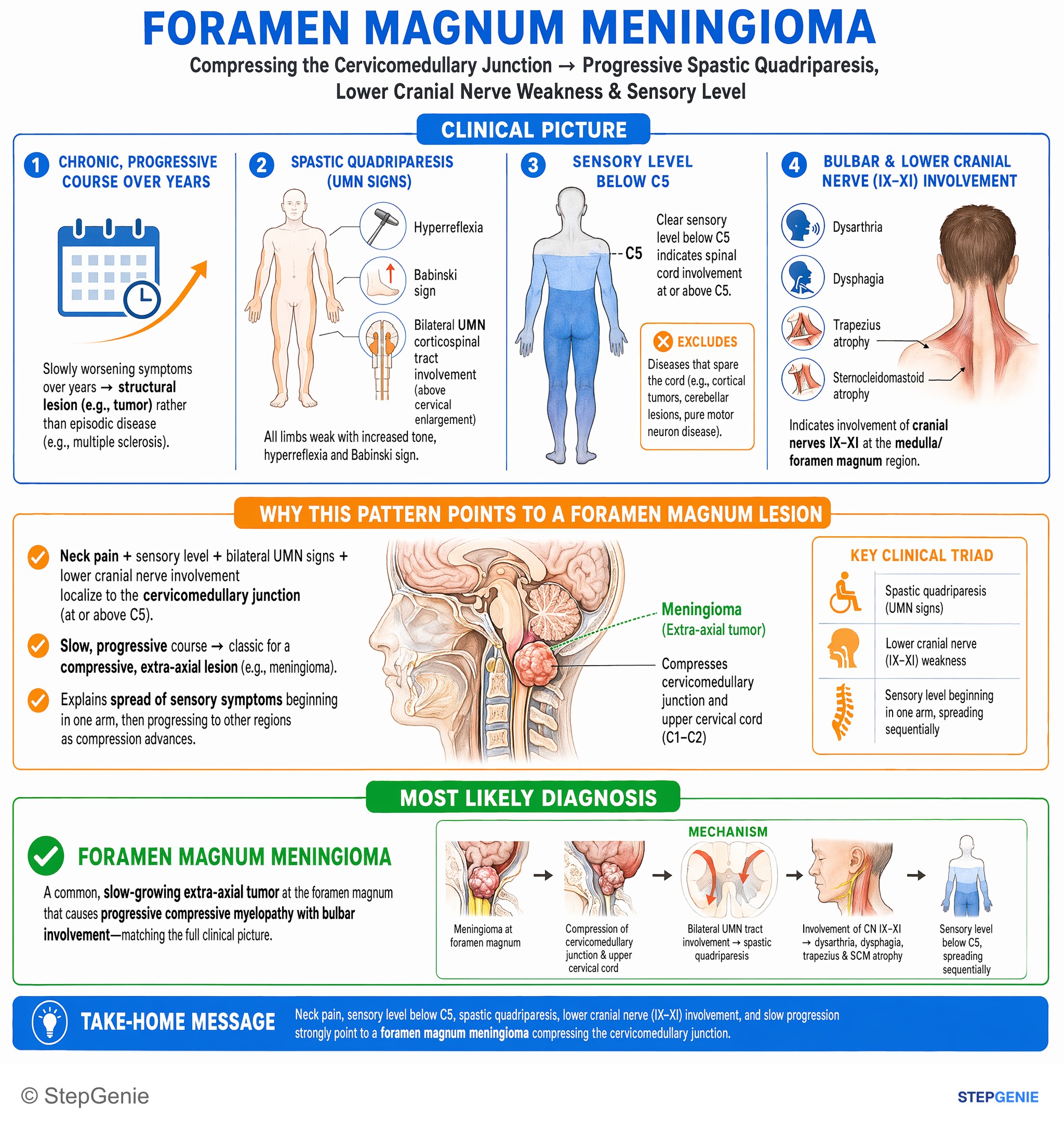 Spinal cord disorders — StepGenie USMLE Step 1 explanation infographic