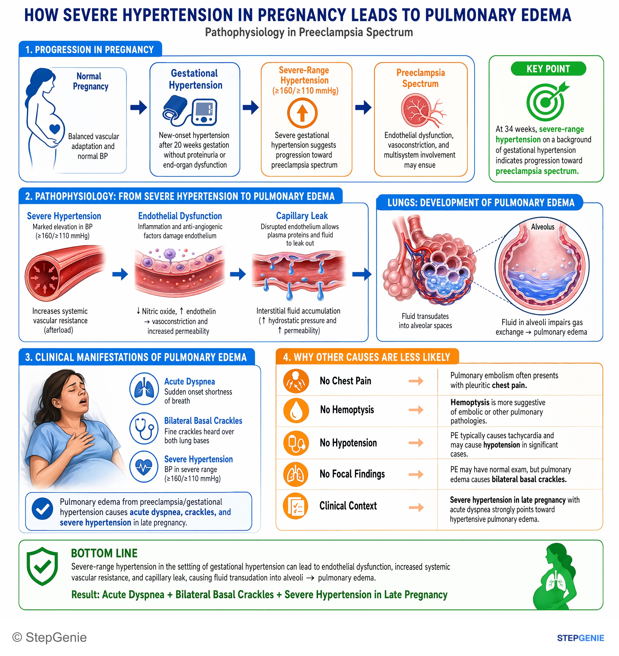 Disorders of pregnancy, childbirth, and puerperium — StepGenie USMLE Step 2 explanation infographic