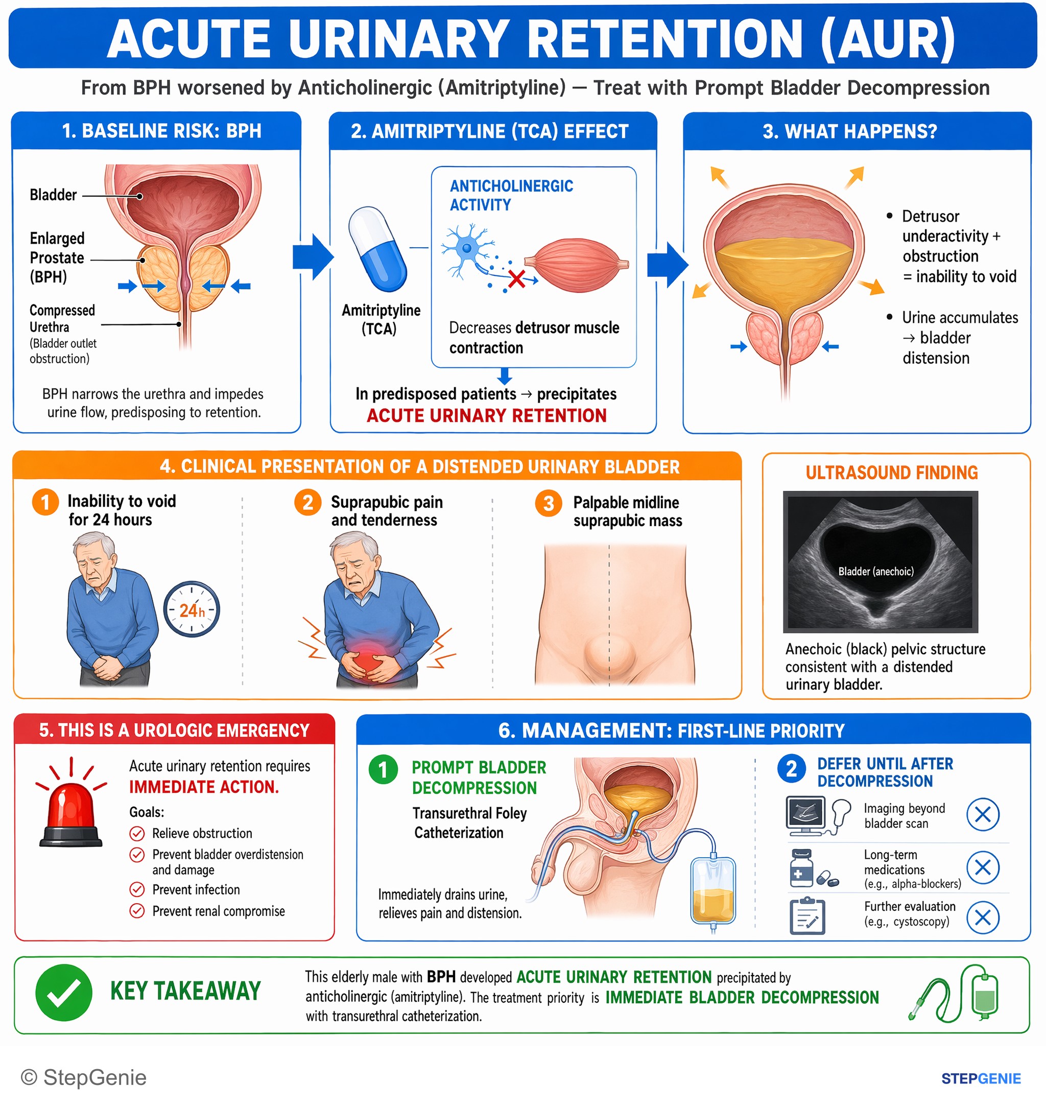 Renal, Urinary Systems & Electrolytes — StepGenie USMLE Step 2 explanation infographic