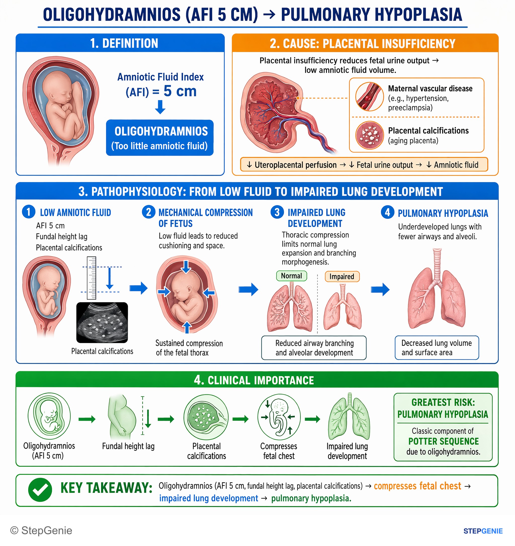 Disorders of pregnancy, childbirth, and puerperium — StepGenie USMLE Step 2 explanation infographic