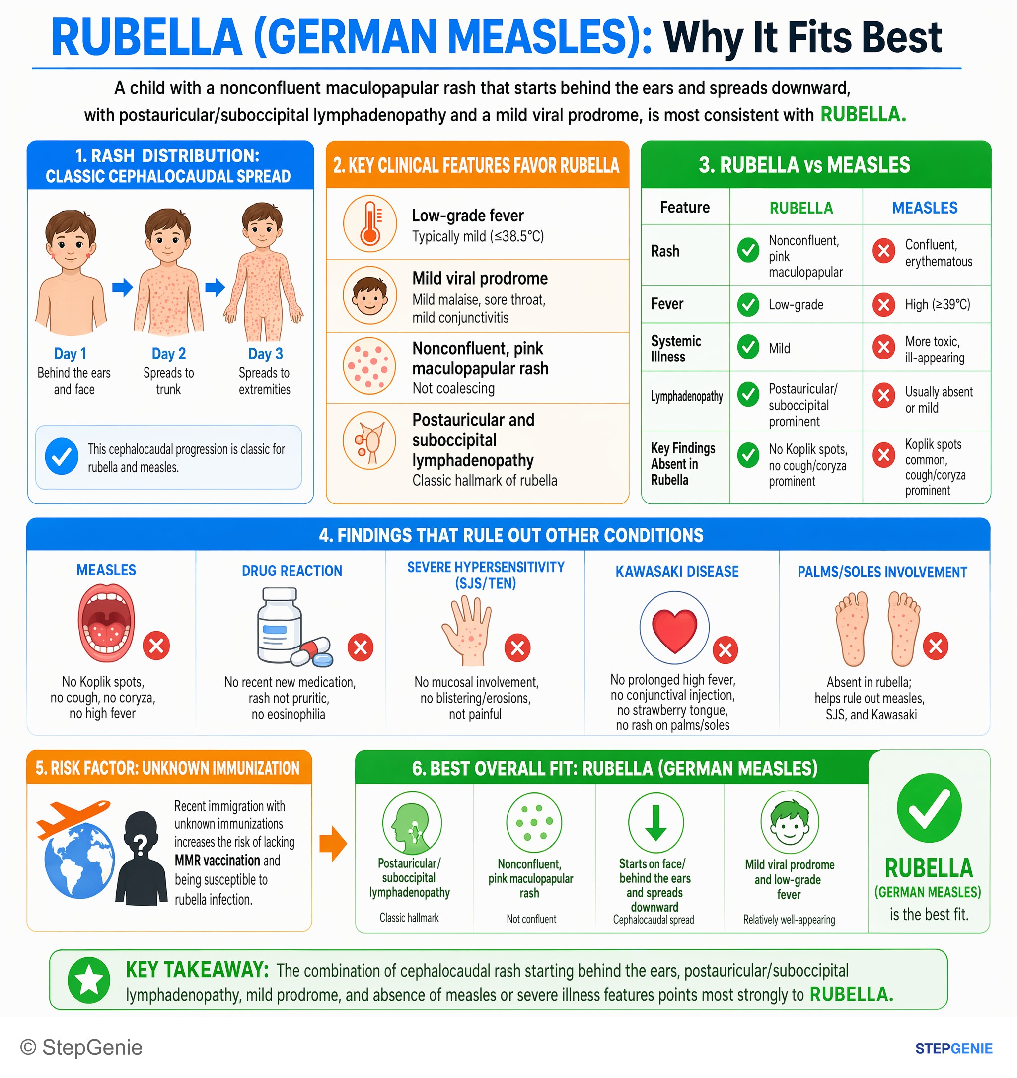 Viral infections — StepGenie USMLE Step 2 explanation infographic