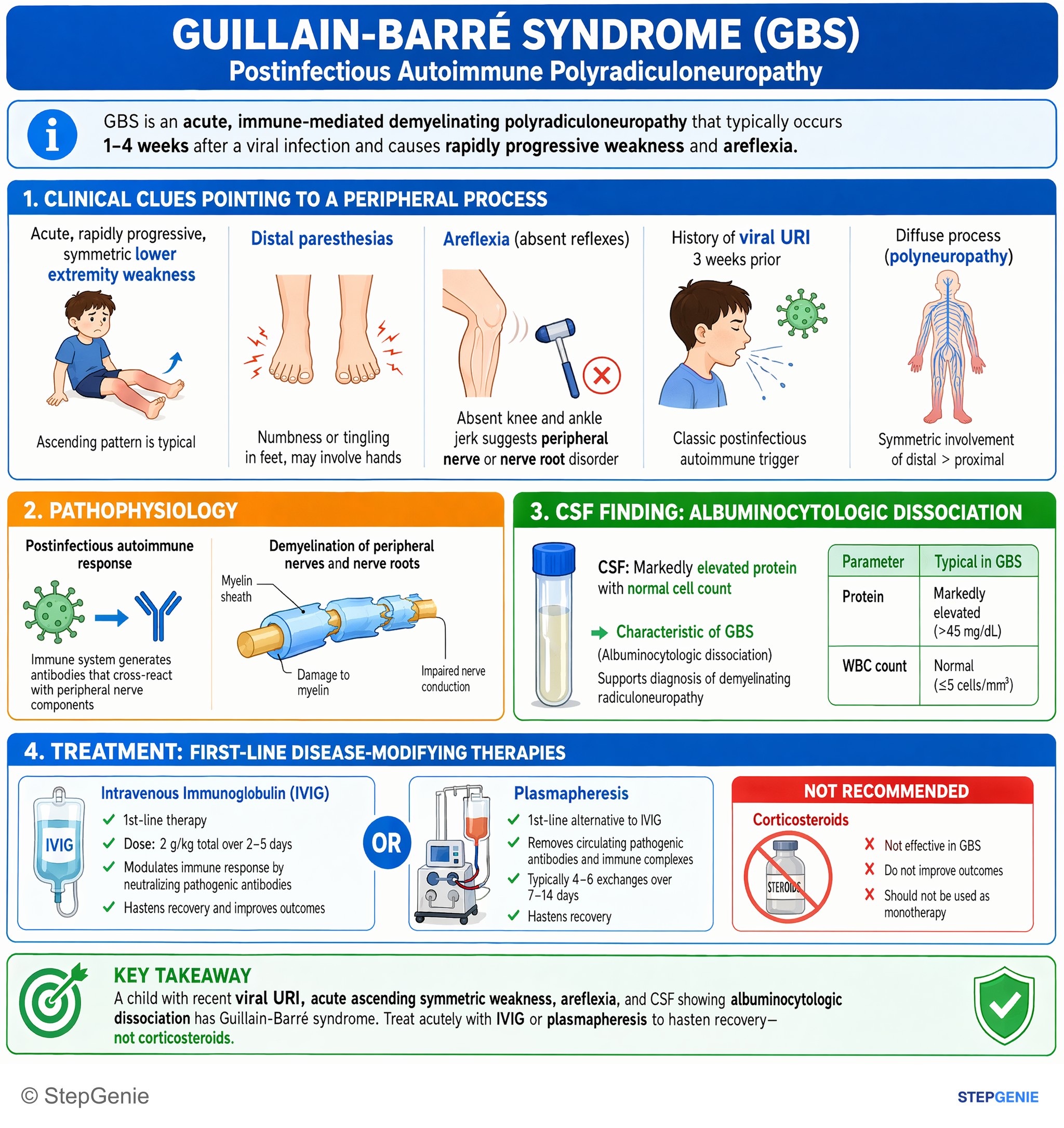 Disorders of peripheral nerves and muscles — StepGenie USMLE Step 2 explanation infographic