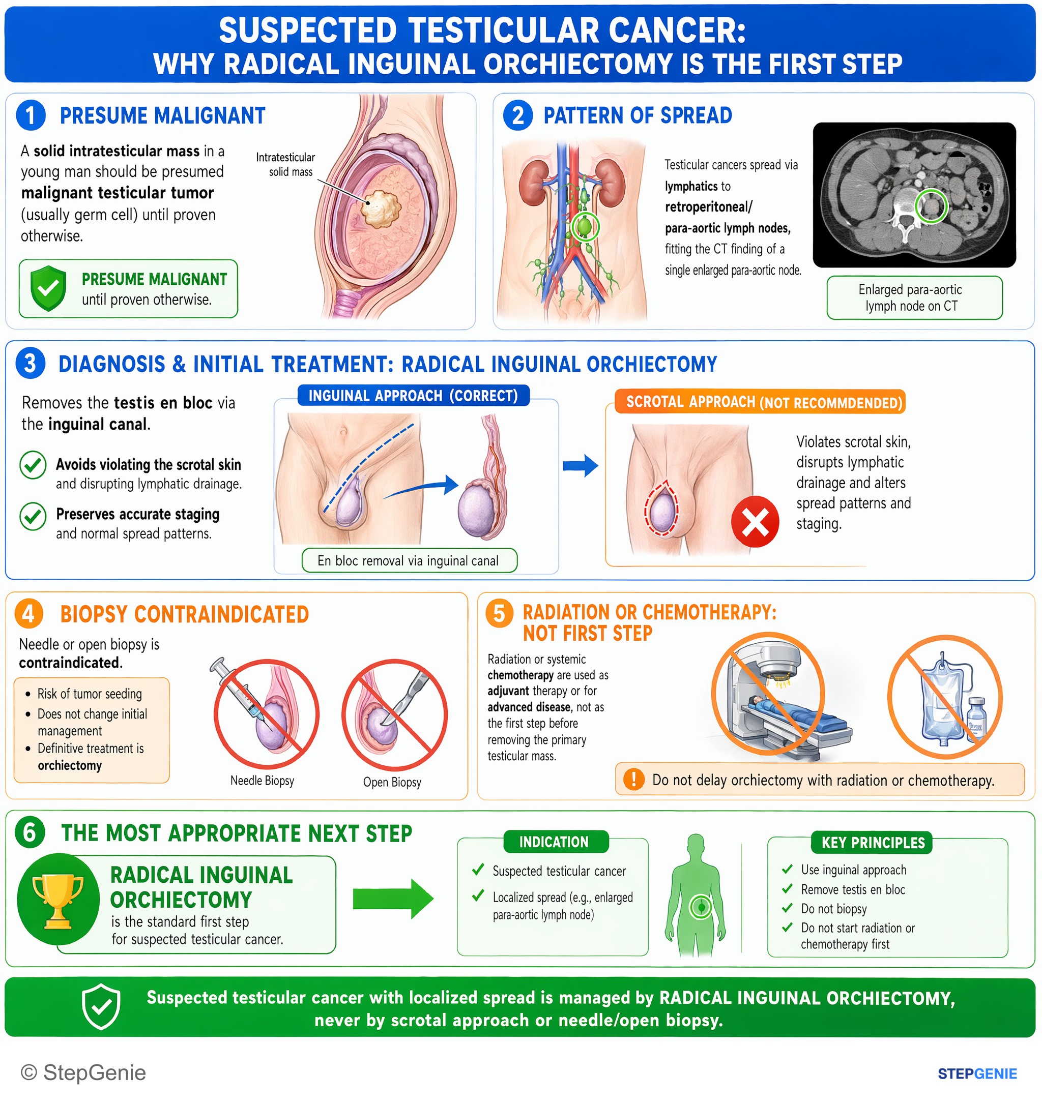 Disorders of the male reproductive system — StepGenie USMLE Step 2 explanation infographic