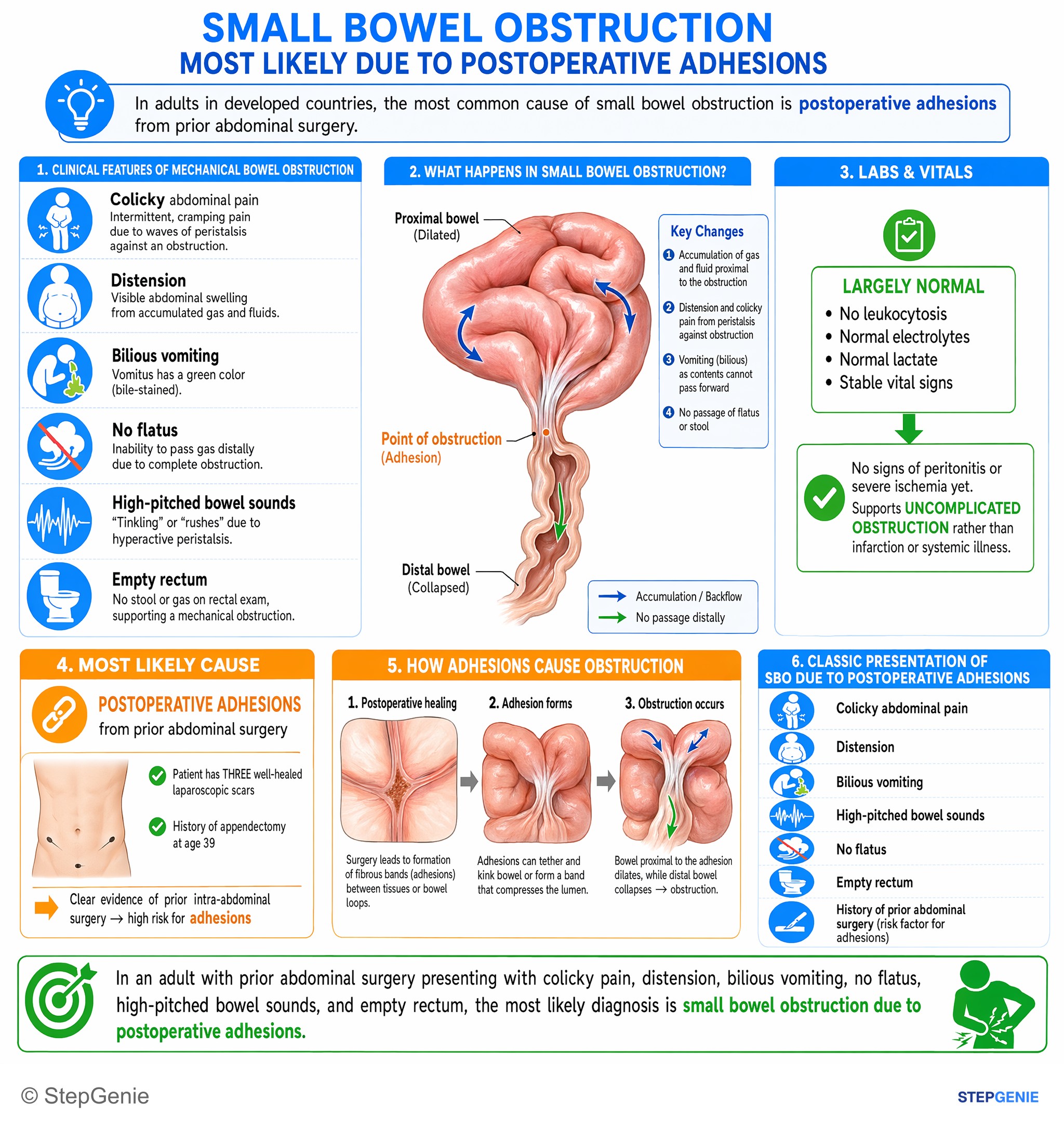 Intestinal and colorectal disorders — StepGenie USMLE Step 2 explanation infographic