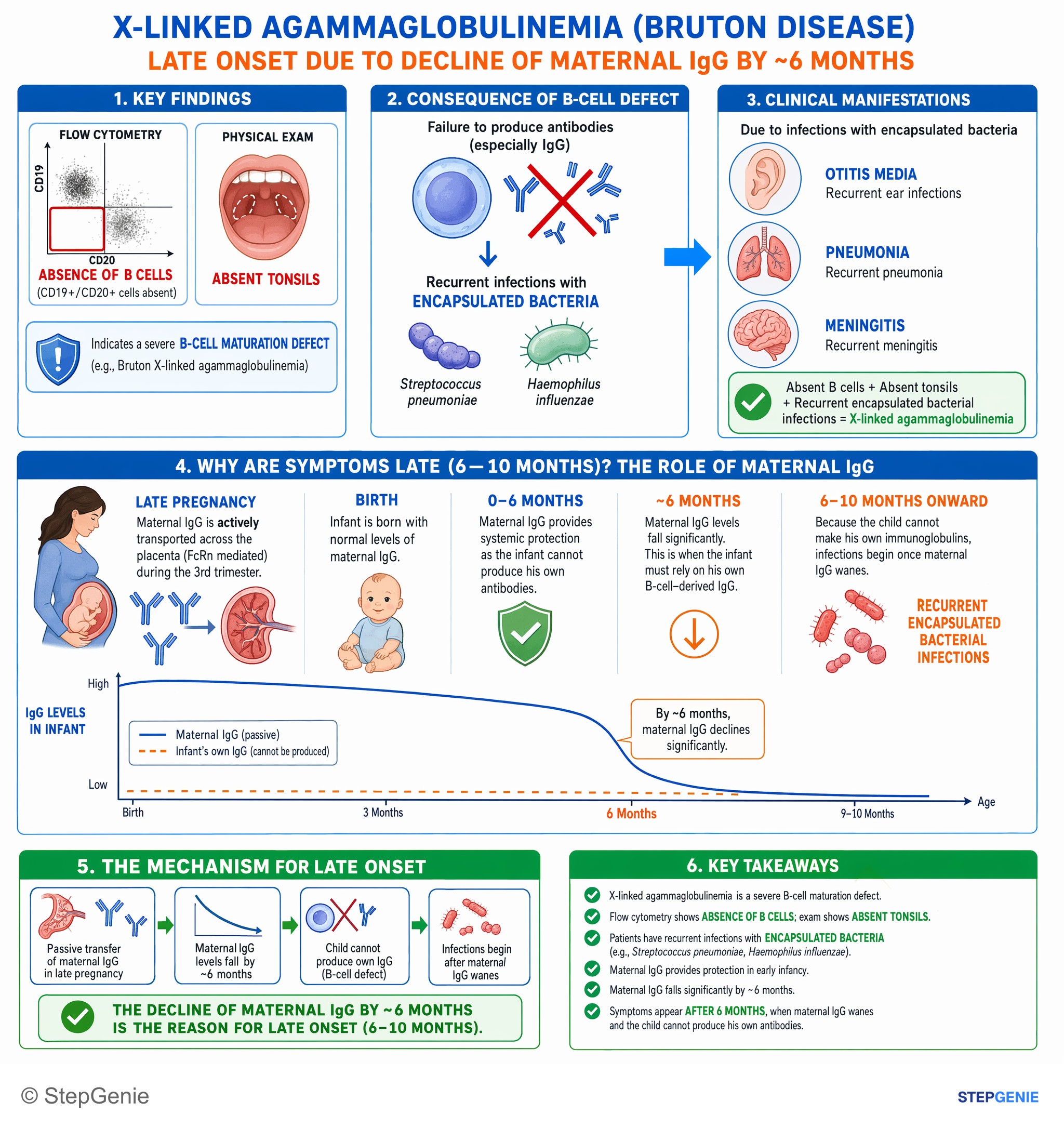 Immunodeficiency syndromes — StepGenie USMLE Step 1 explanation infographic