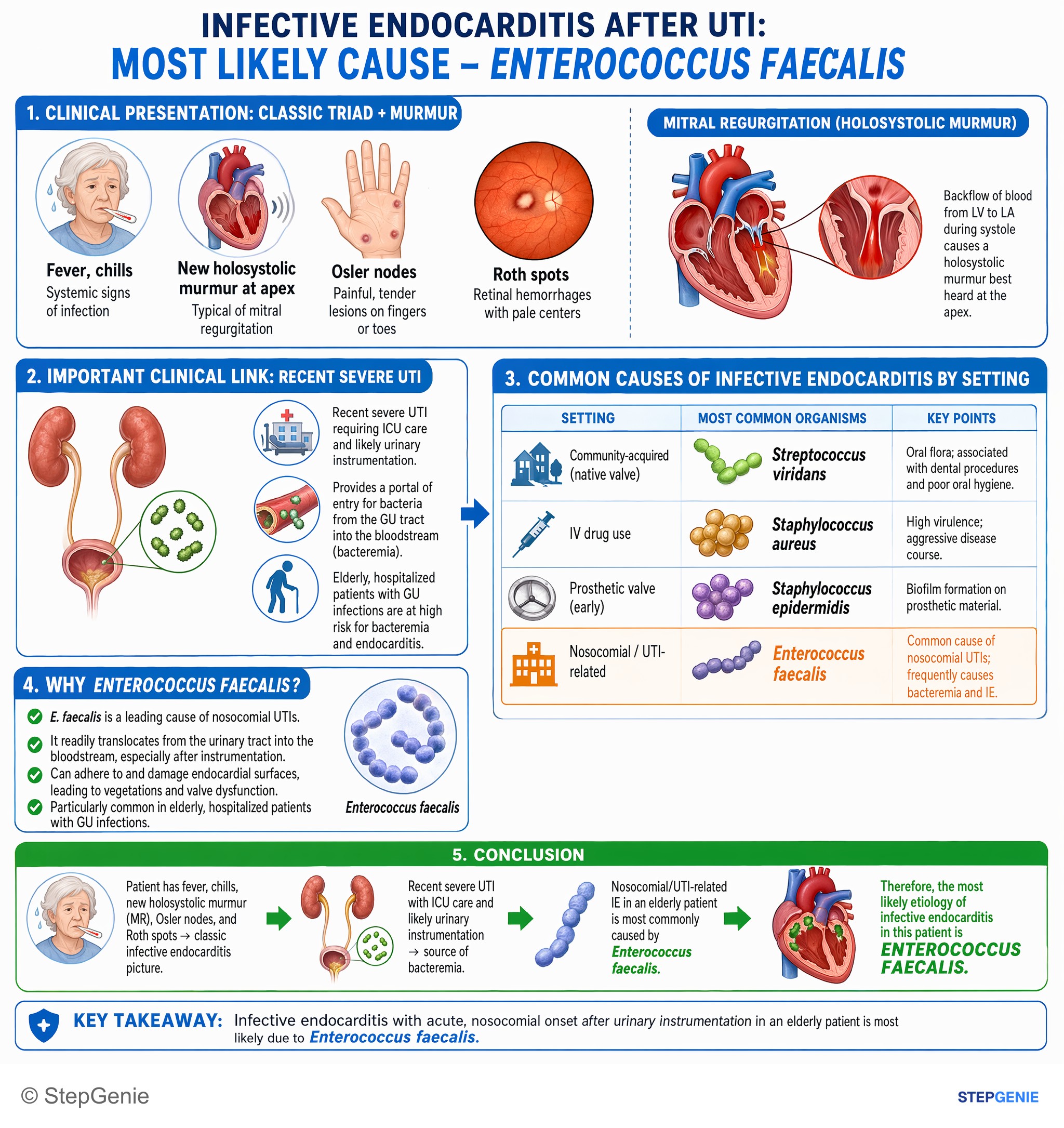 Infections / infection-related conditions — StepGenie USMLE Step 1 explanation infographic
