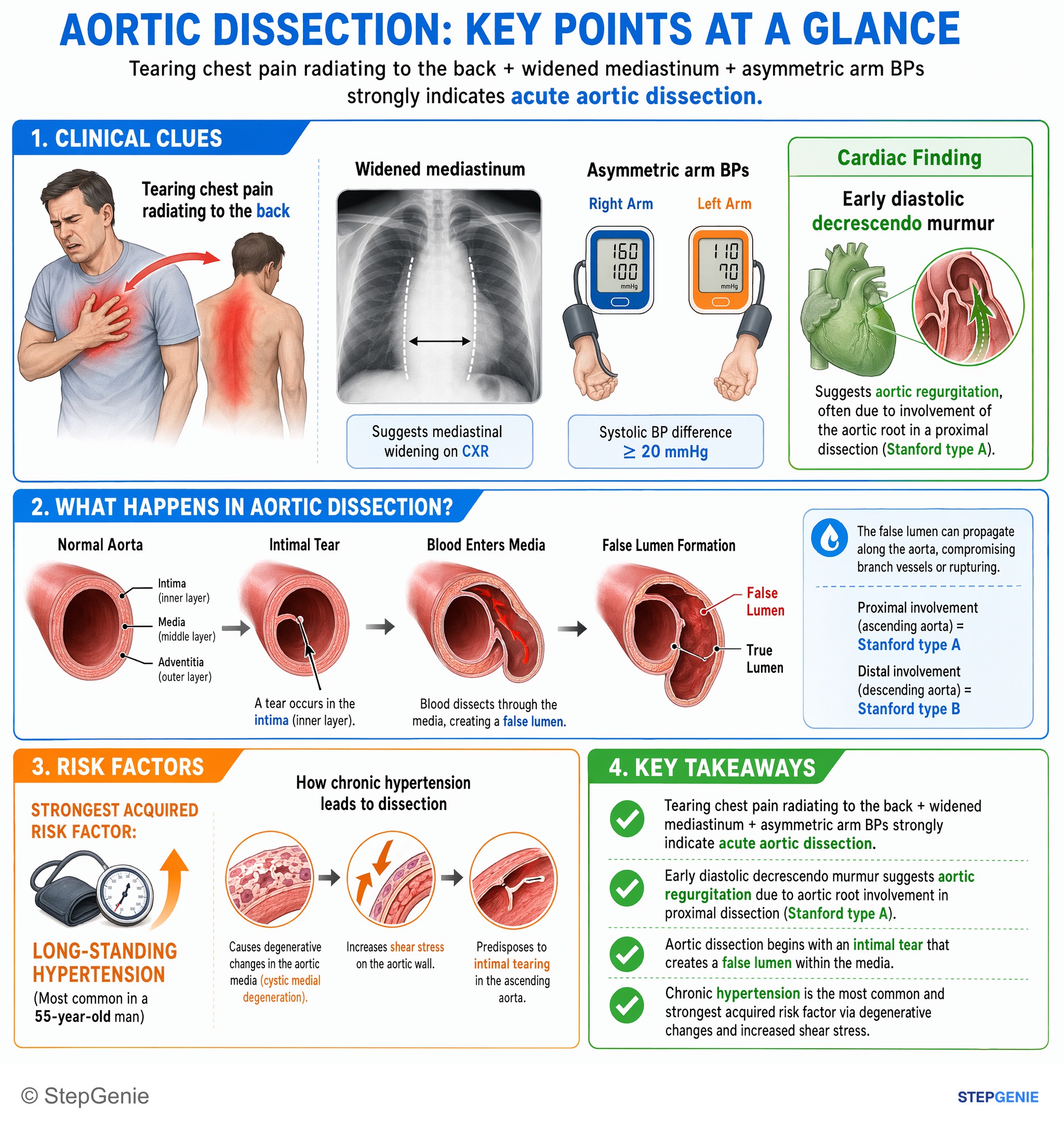 Aortic and peripheral artery diseases — StepGenie USMLE Step 1 explanation infographic