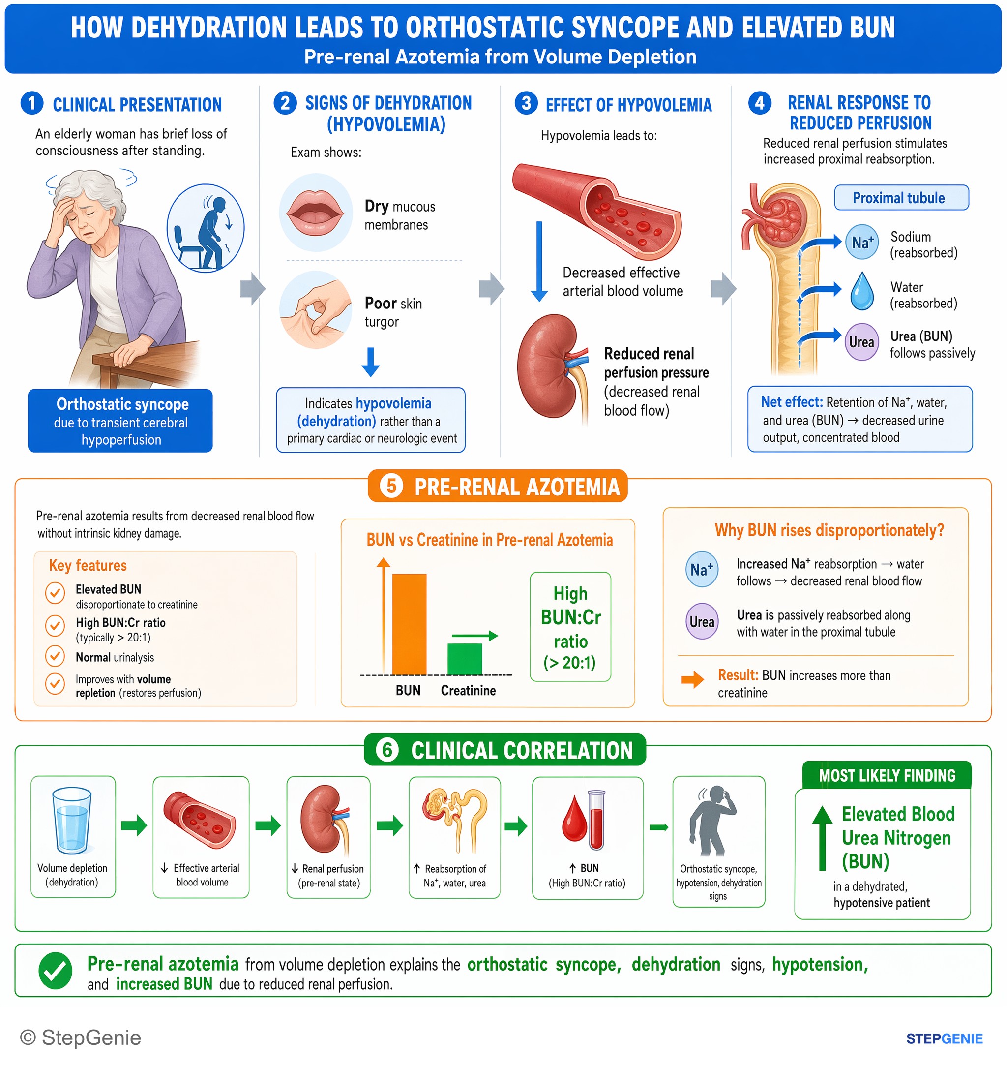 Step-by-step reasoning infographic: Pre-renal azotemia from volume depletion: orthostatic syncope, dehydration signs, hypotension, and increased BUN due to reduced renal perfusion.