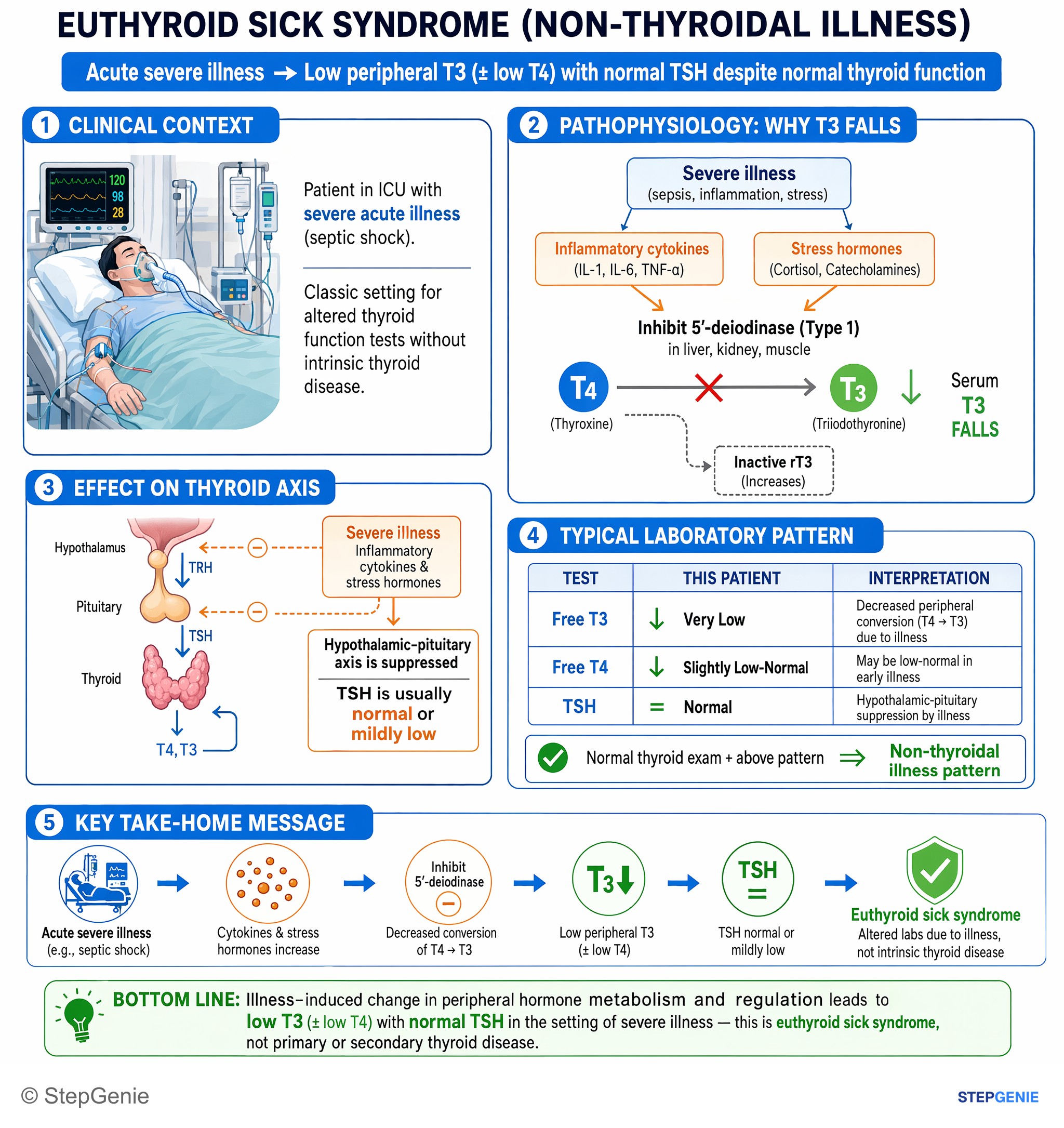 Thyroid disorders — StepGenie USMLE Step 1 explanation infographic