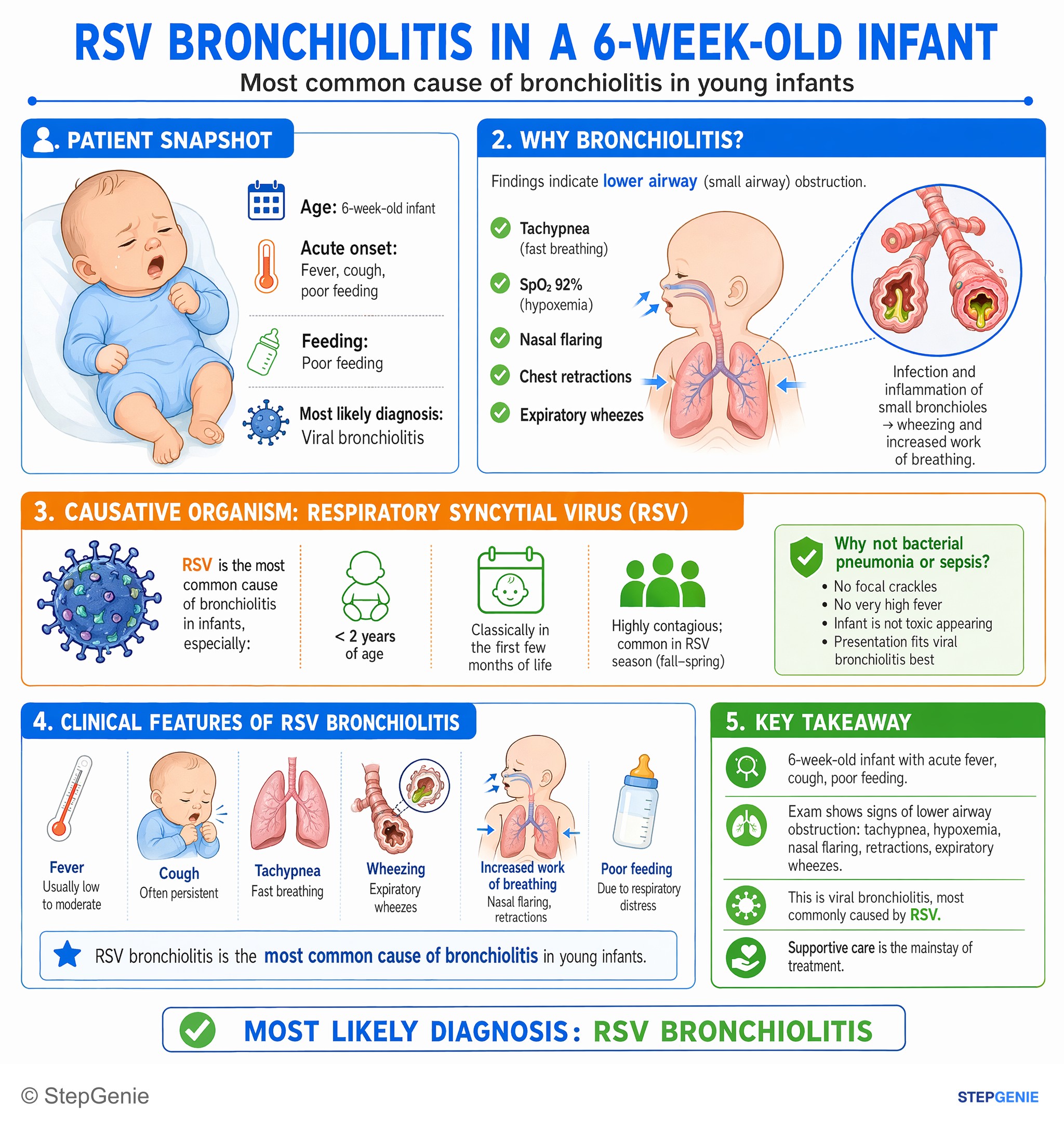 Viral infections — StepGenie USMLE Step 1 explanation infographic