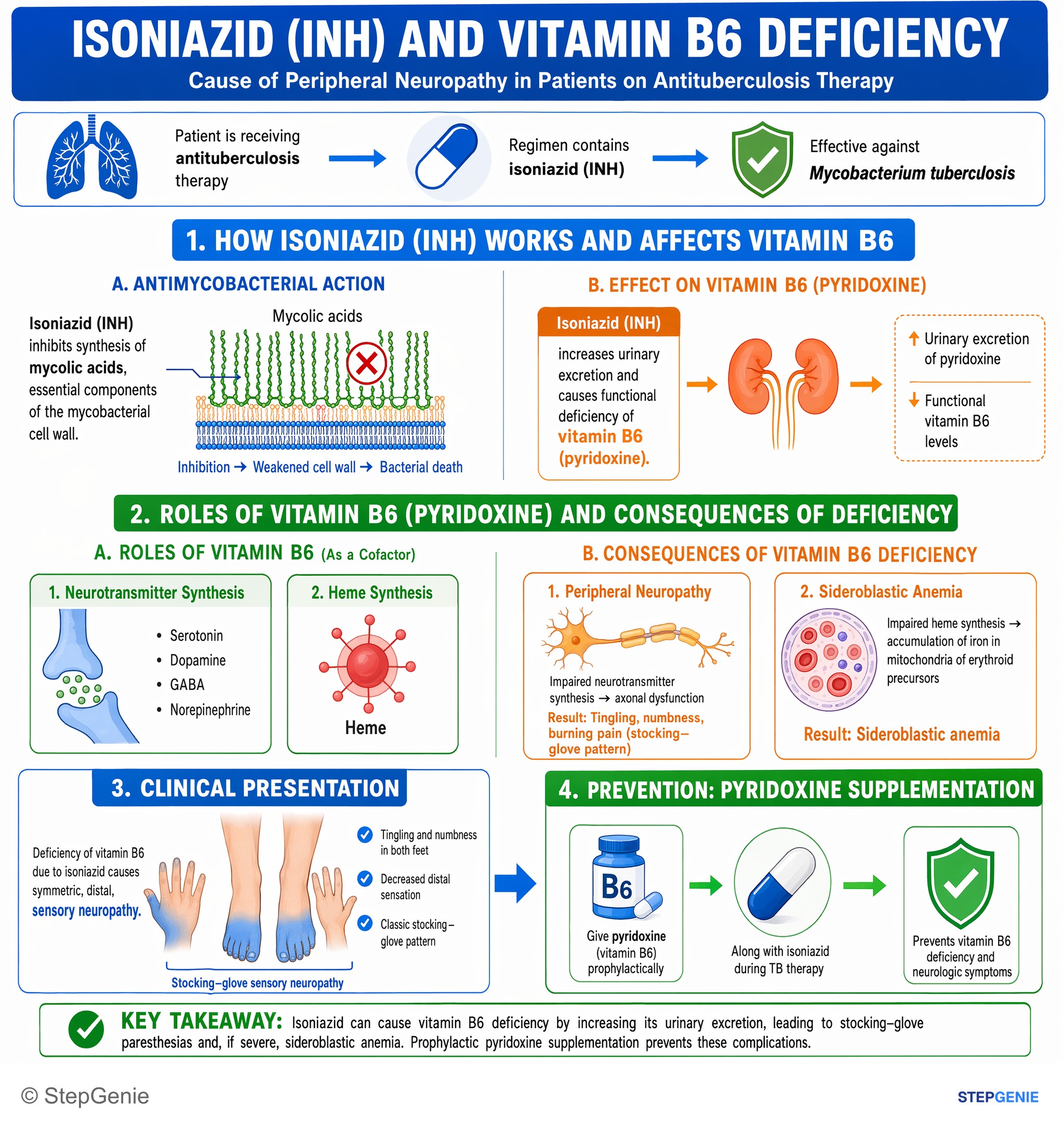 Antimicrobial drugs — StepGenie USMLE Step 1 explanation infographic