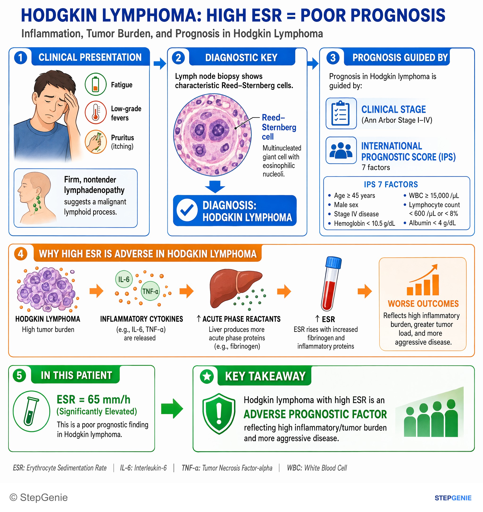 Principles of oncology — StepGenie USMLE Step 1 explanation infographic
