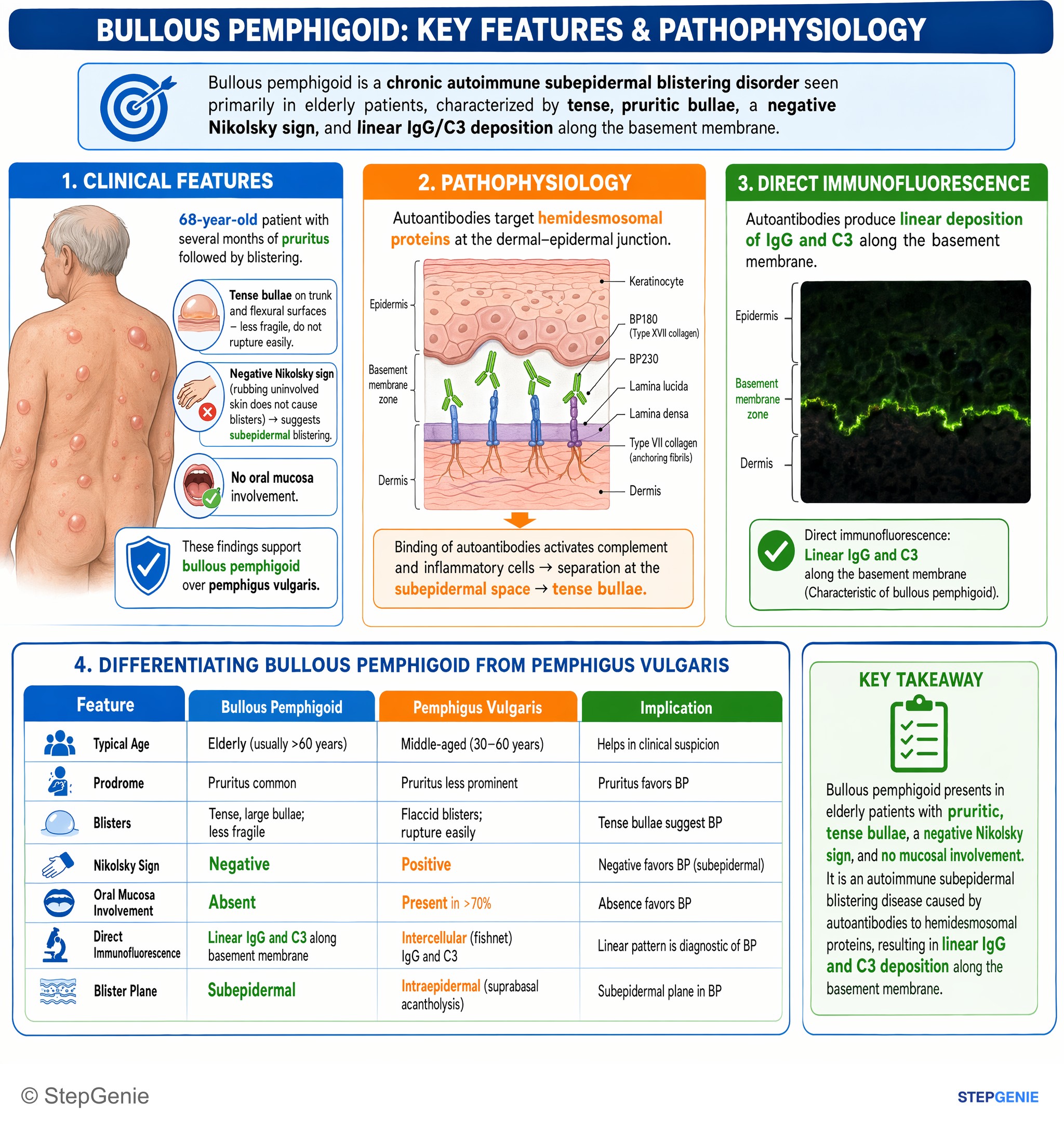 Inflammatory dermatoses and bullous diseases — StepGenie USMLE Step 1 explanation infographic