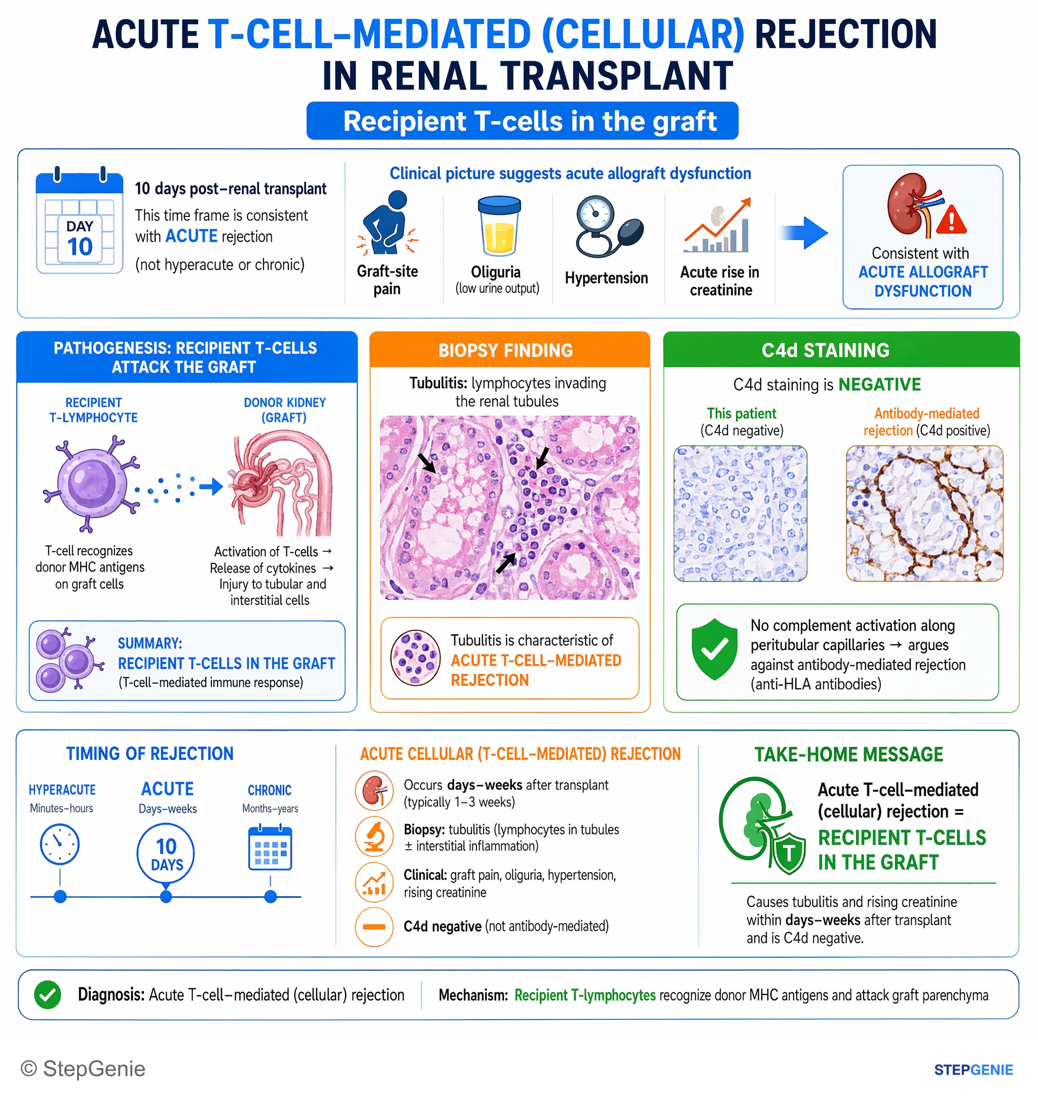 Autoimmune processes — StepGenie USMLE Step 1 explanation infographic