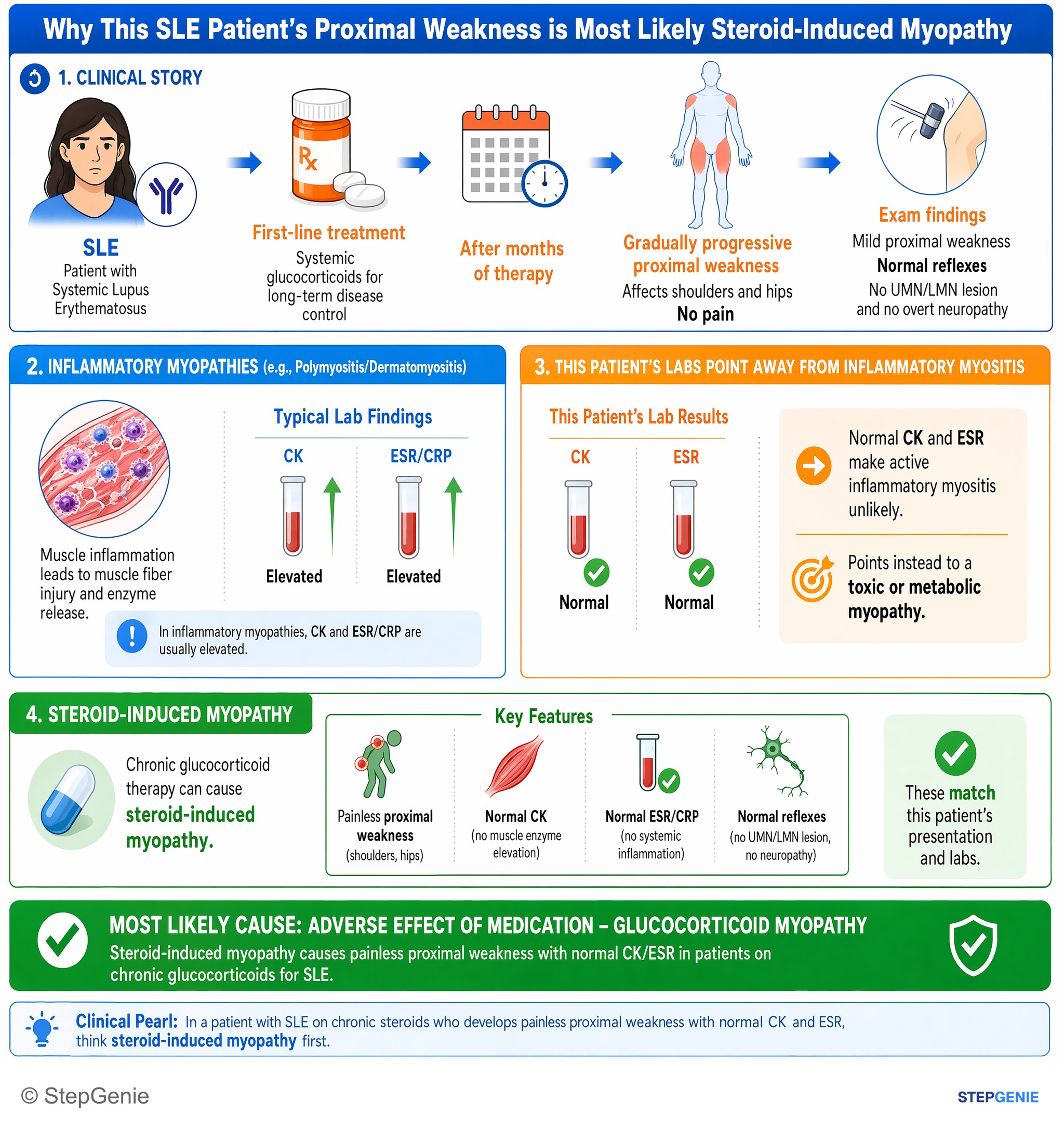 Muscular disorders — StepGenie USMLE Step 1 explanation infographic