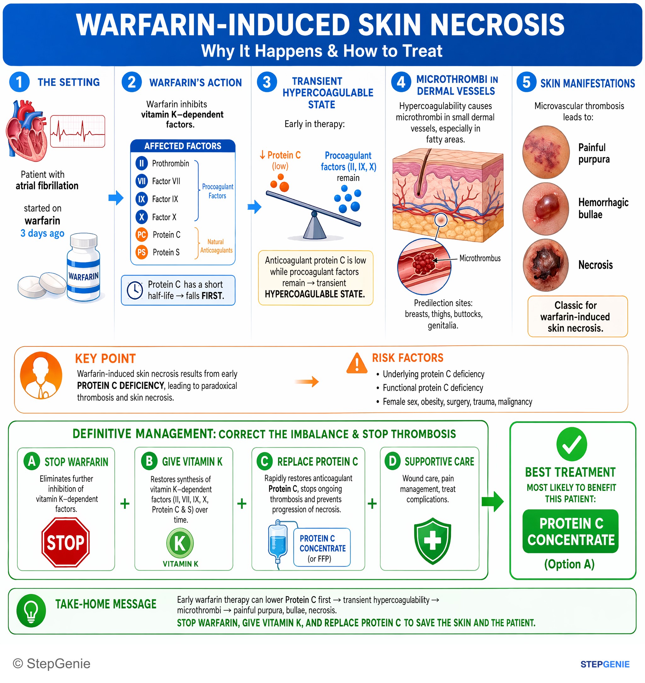 Miscellaneous — StepGenie USMLE Step 2 explanation infographic