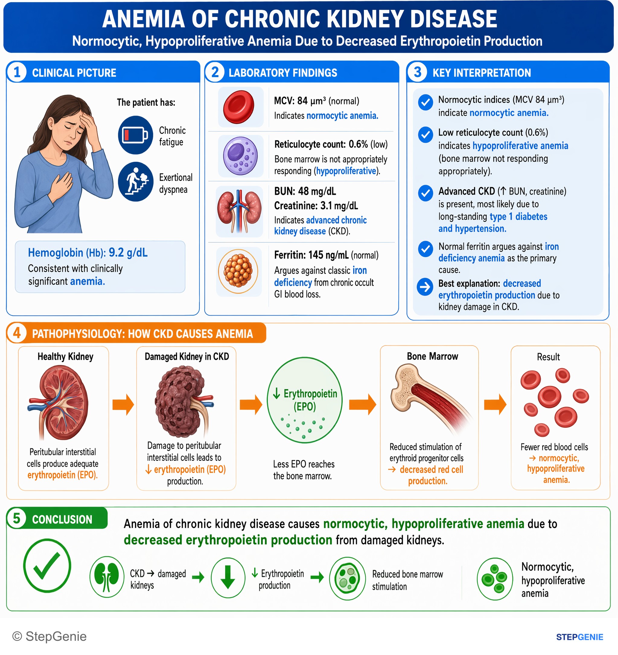 Chronic kidney disease — StepGenie USMLE Step 2 explanation infographic