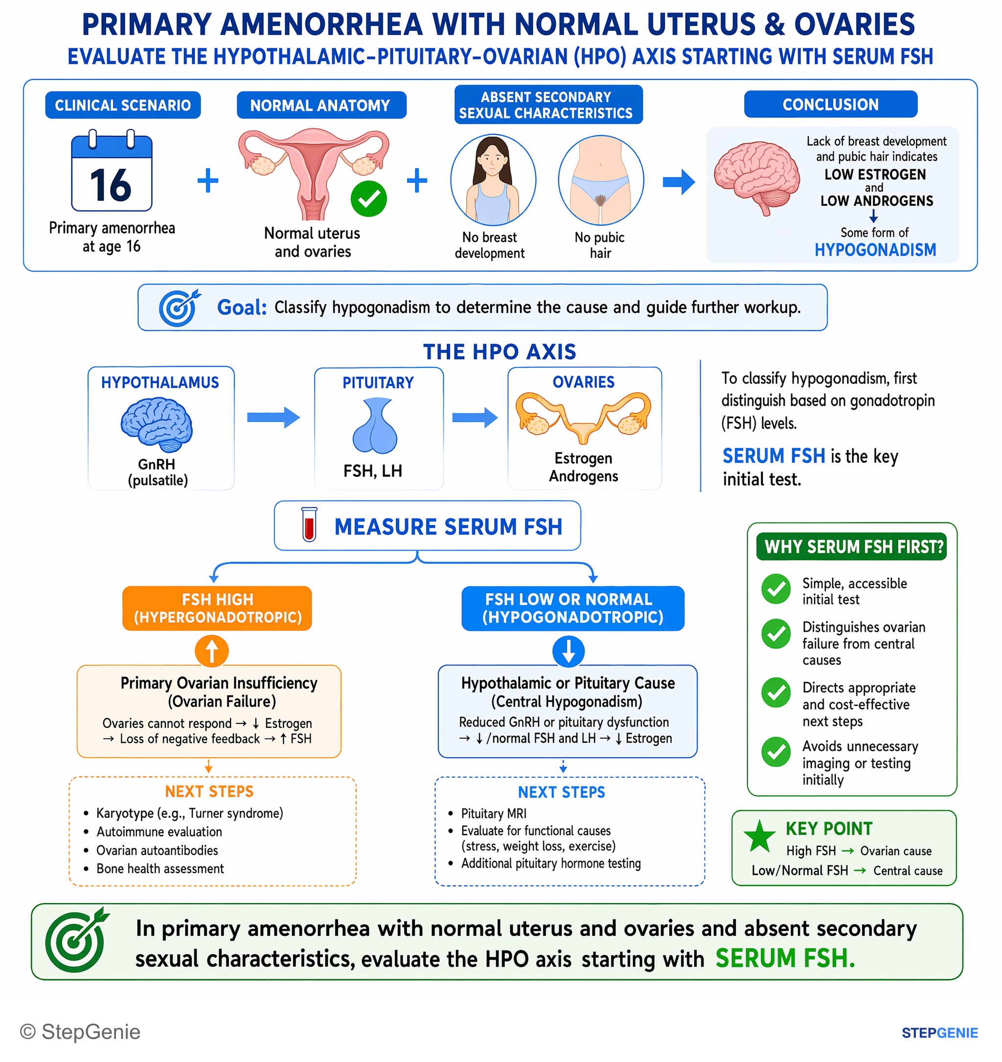 Reproductive endocrinology — StepGenie USMLE Step 2 explanation infographic