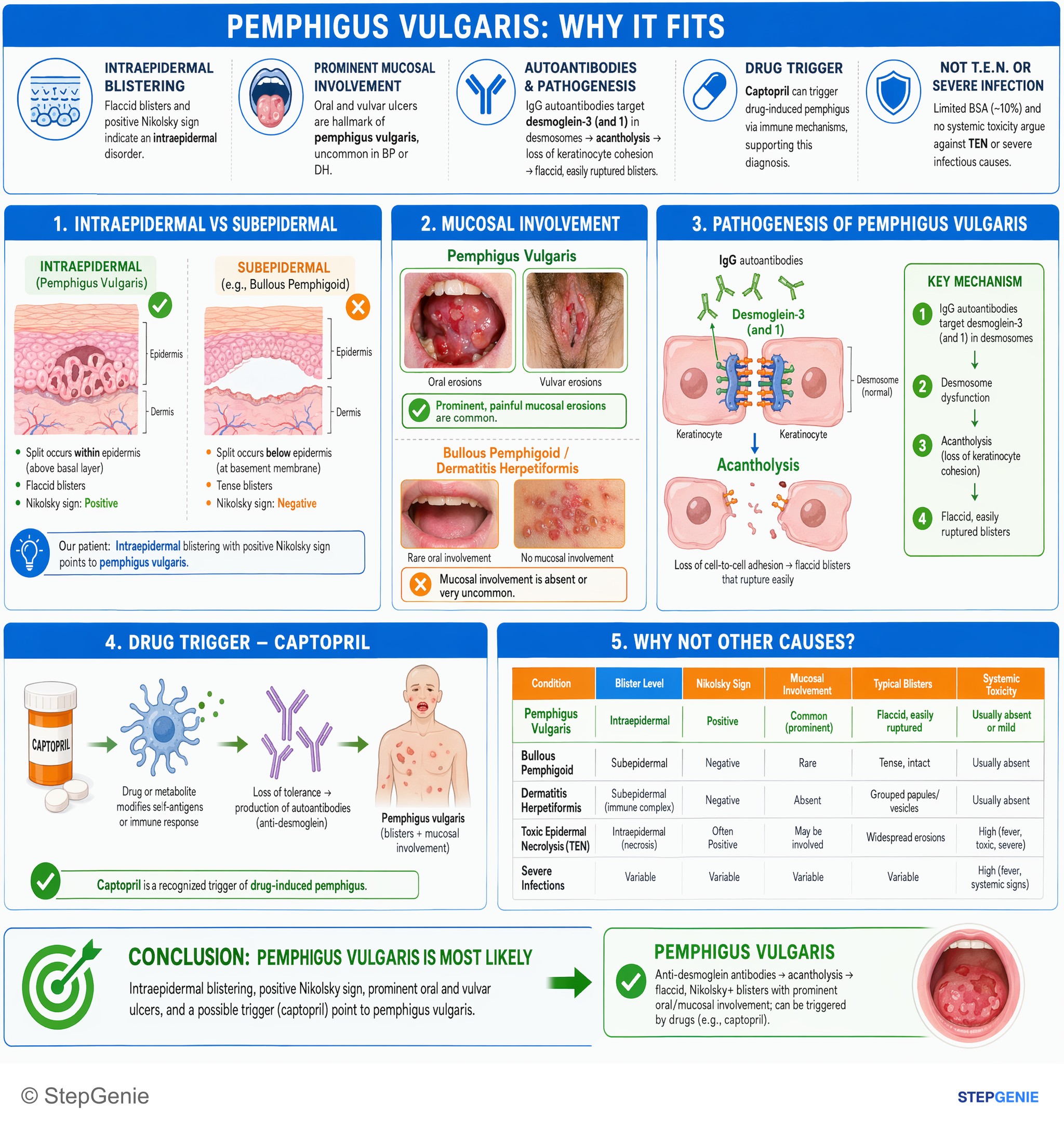 Inflammatory dermatoses and bullous diseases — StepGenie USMLE Step 1 explanation infographic