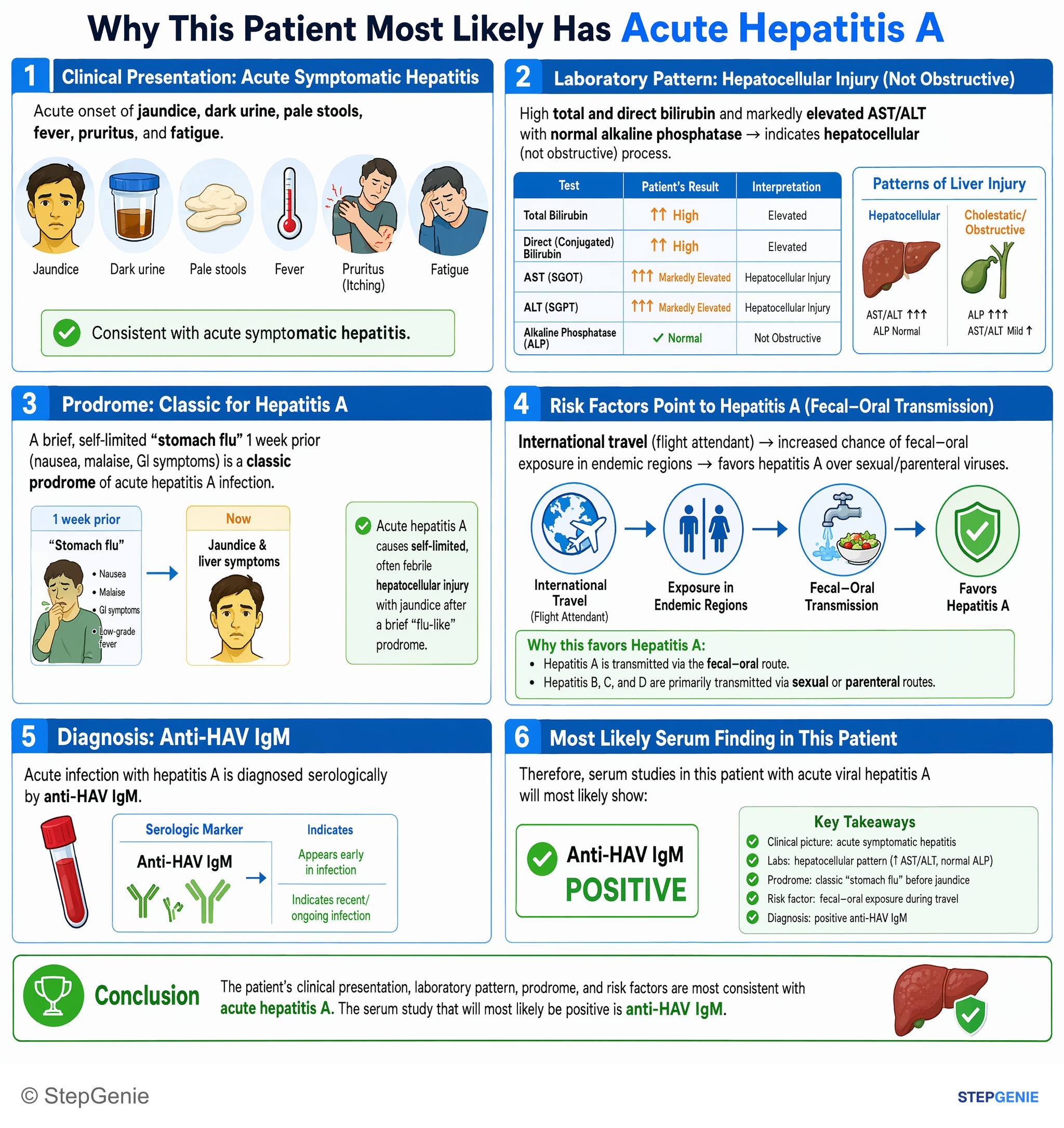 Hepatic disorders — StepGenie USMLE Step 1 explanation infographic