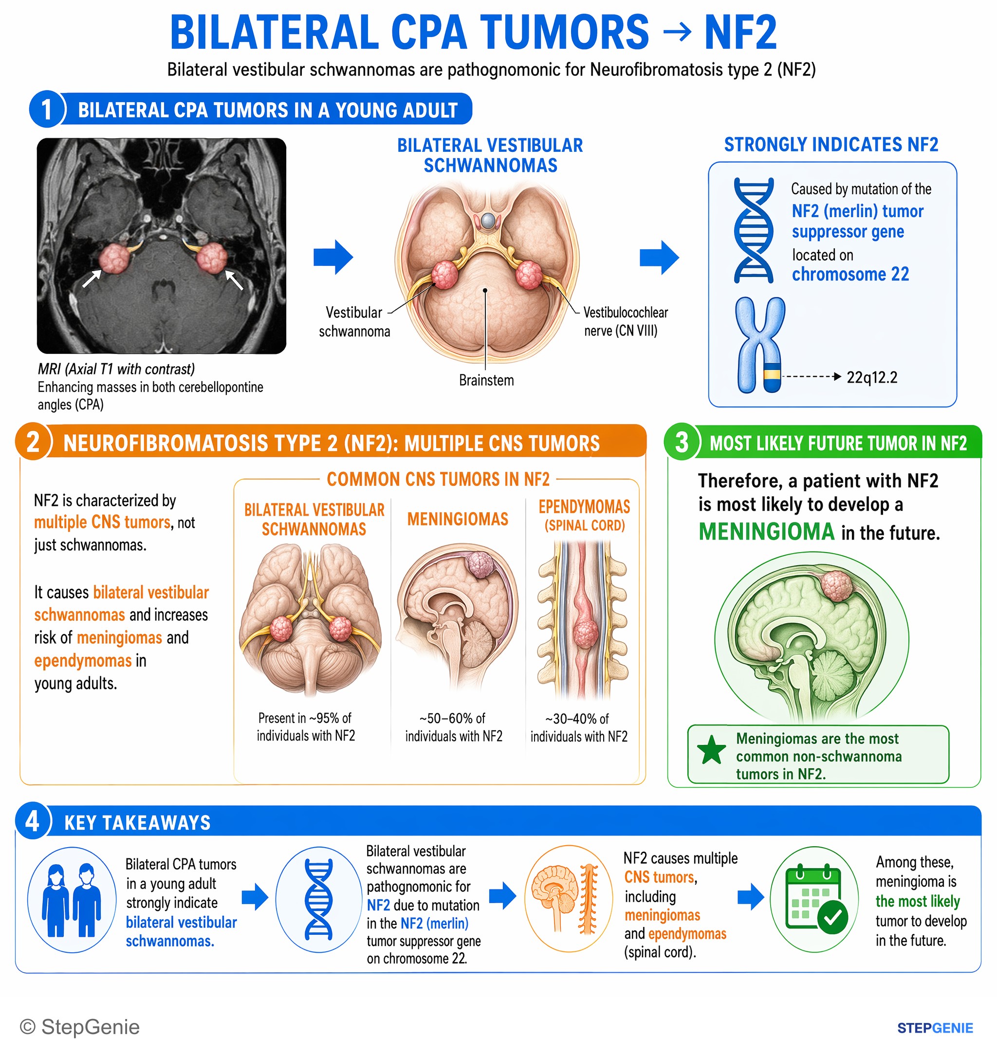 Tumors/Malignancy of the nervous system — StepGenie USMLE Step 1 explanation infographic