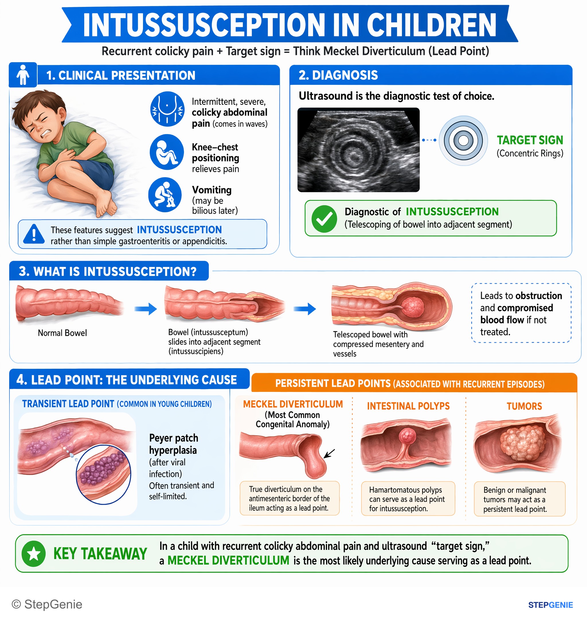 Congenital and developmental anomalies — StepGenie USMLE Step 1 explanation infographic