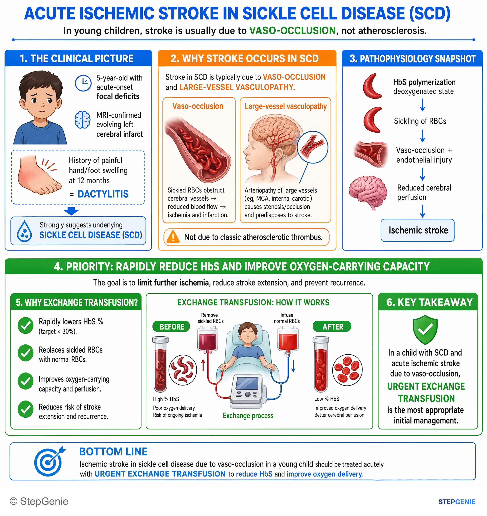 Red blood cell disorders — StepGenie USMLE Step 2 explanation infographic