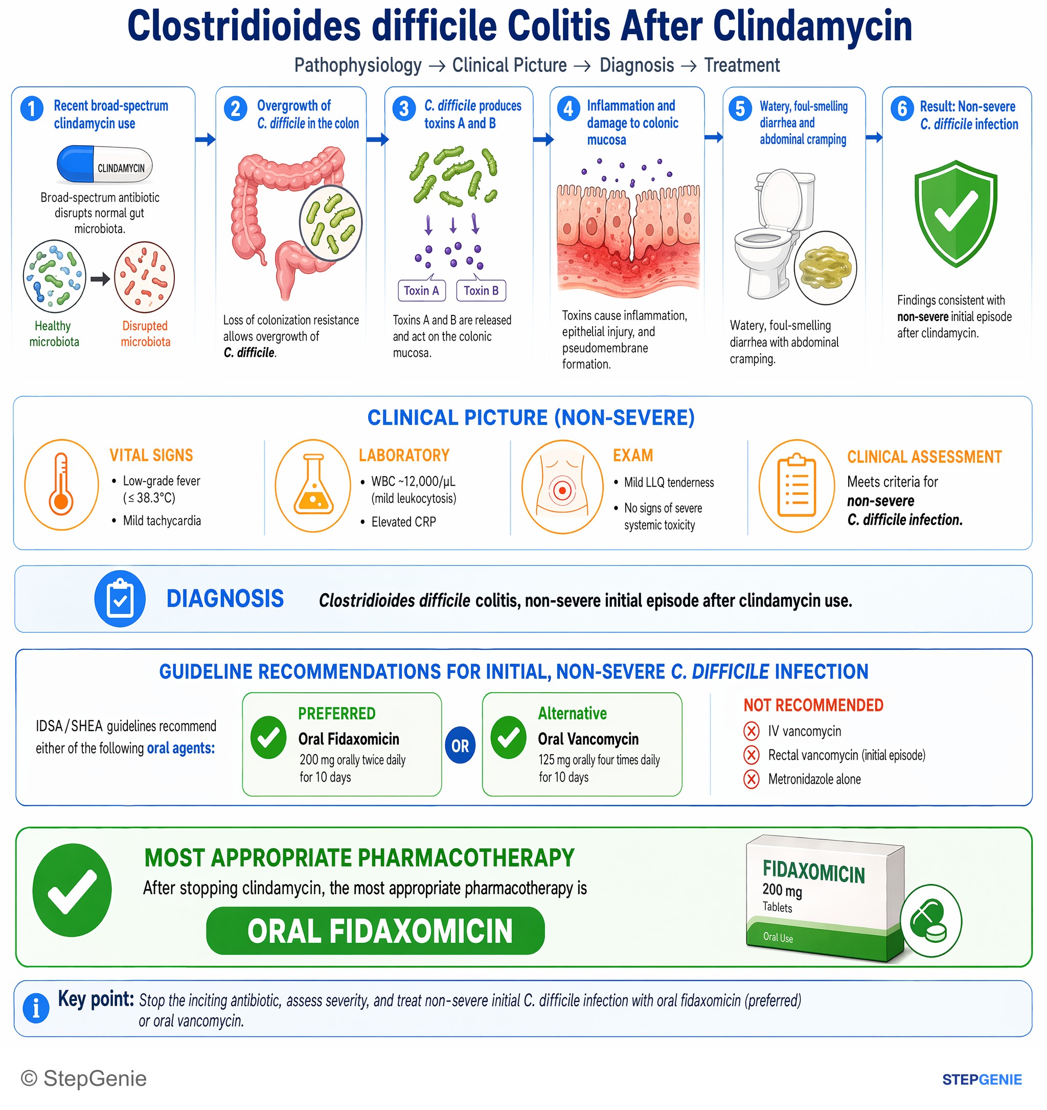 Bacterial infections — StepGenie USMLE Step 2 explanation infographic