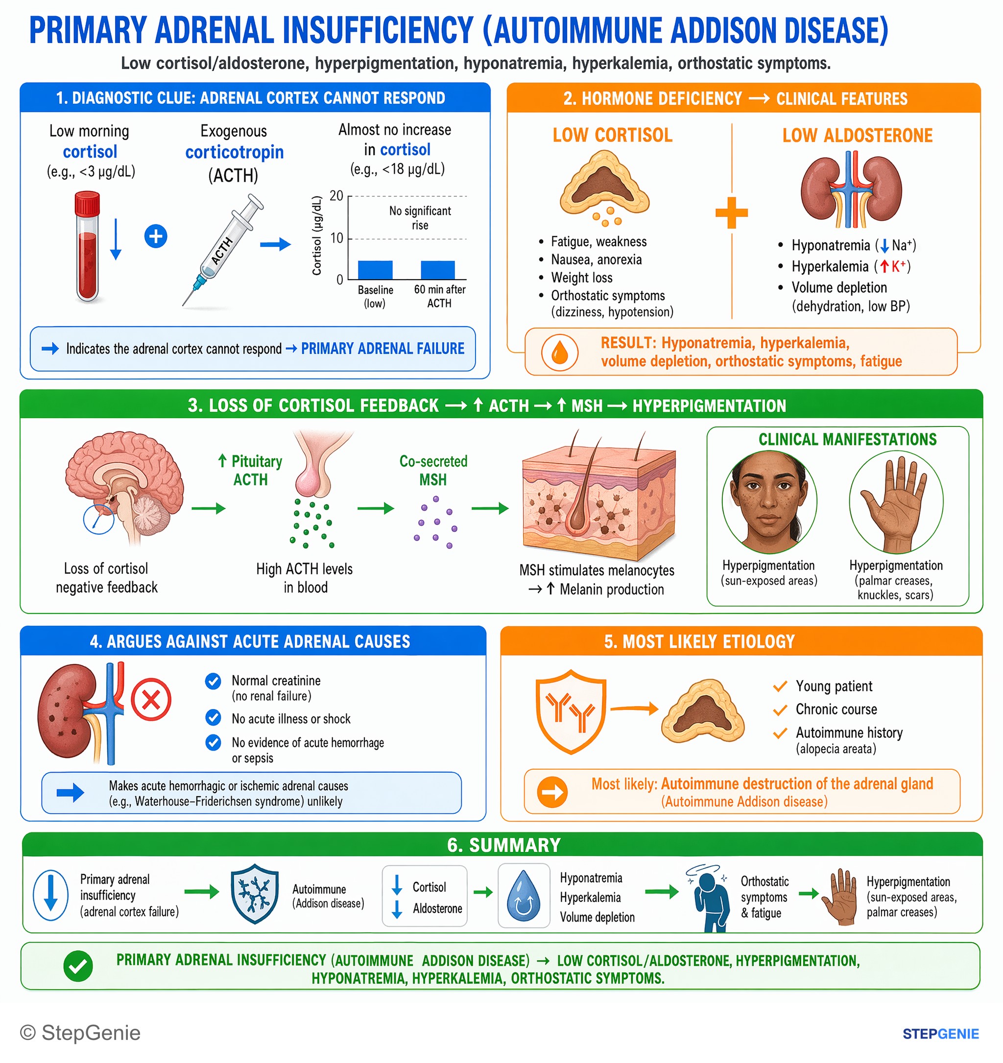 Adrenal disorders — StepGenie USMLE Step 1 explanation infographic
