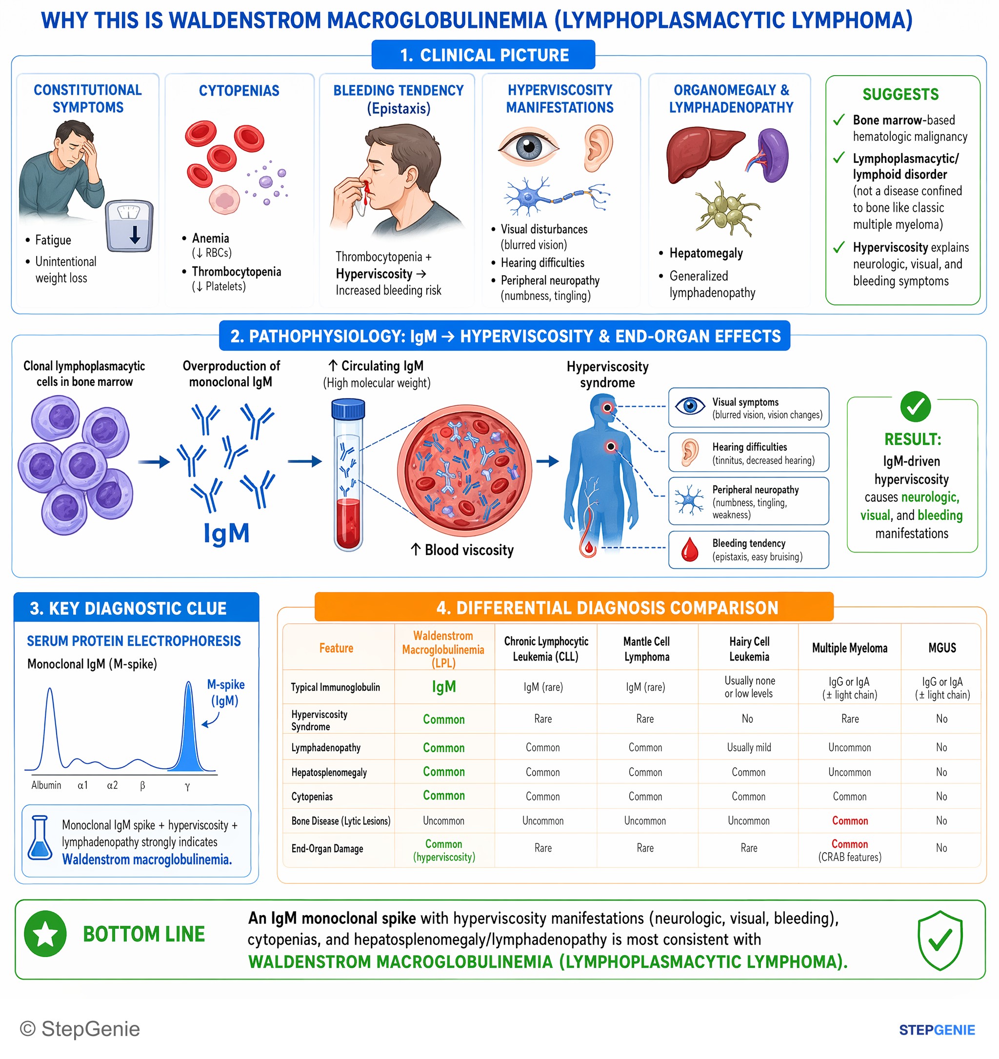Principles of oncology — StepGenie USMLE Step 1 explanation infographic