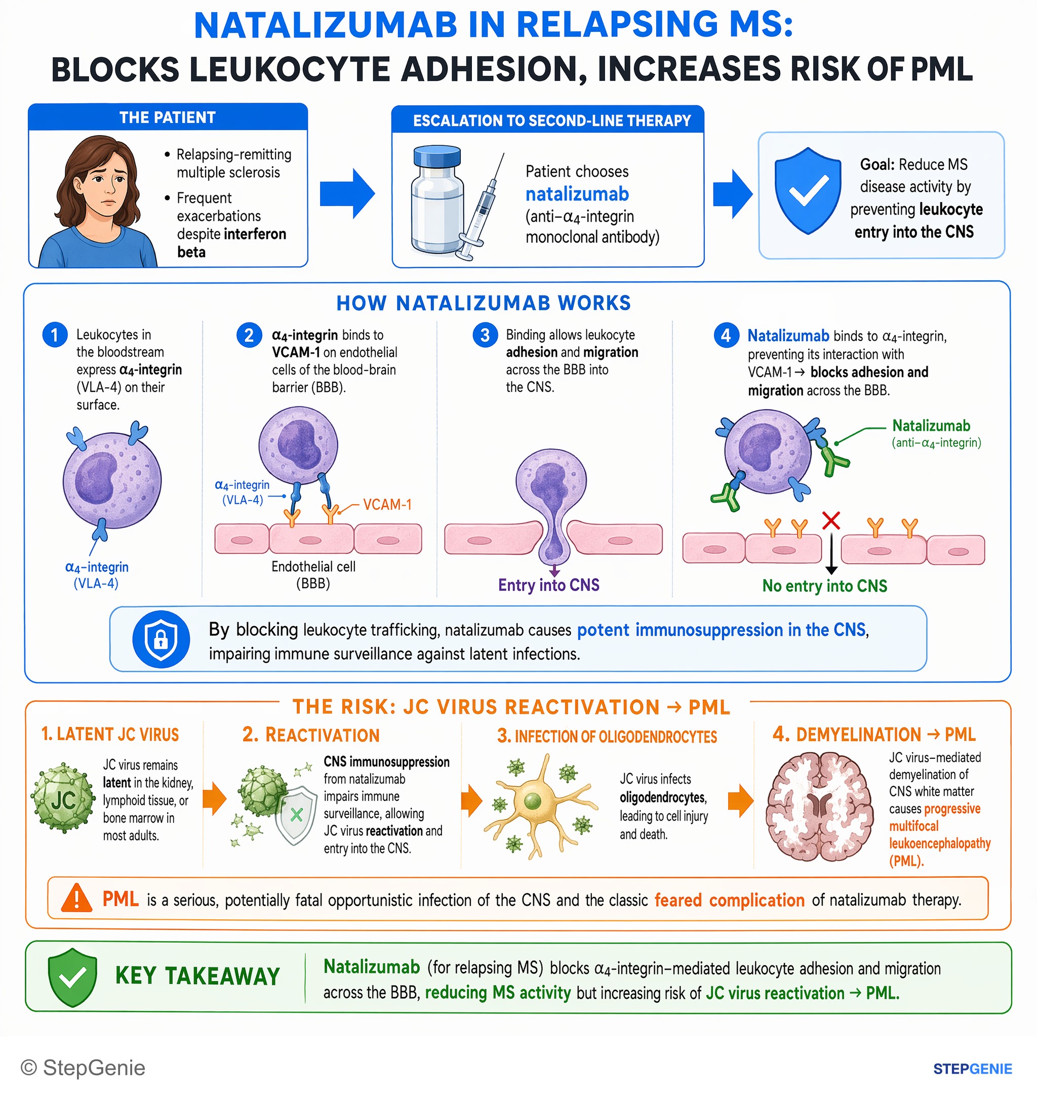 Demyelinating diseases — StepGenie USMLE Step 1 explanation infographic