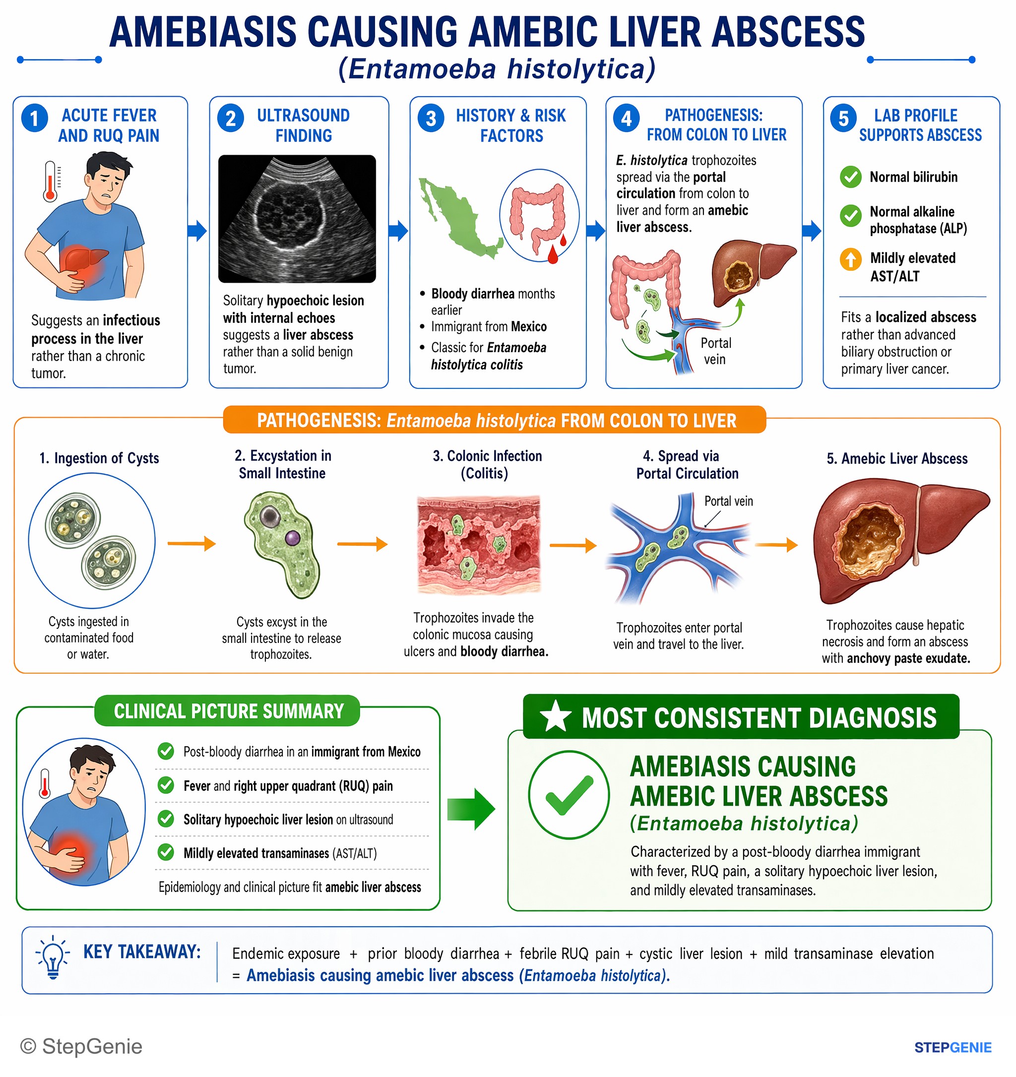 Parasitic and helminthic infections — StepGenie USMLE Step 2 explanation infographic