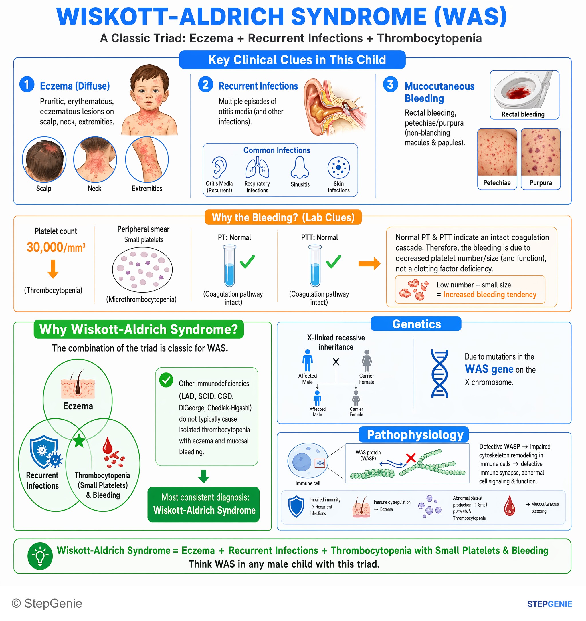 Platelet disorders — StepGenie USMLE Step 1 explanation infographic