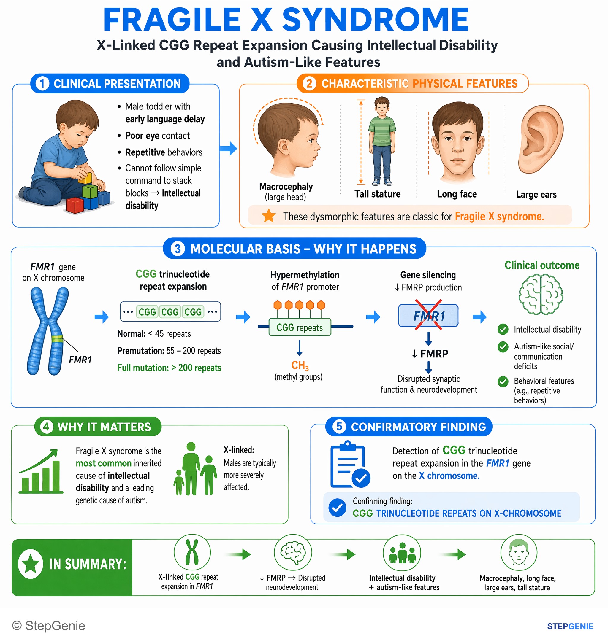 Congenital and developmental anomalies — StepGenie USMLE Step 1 explanation infographic