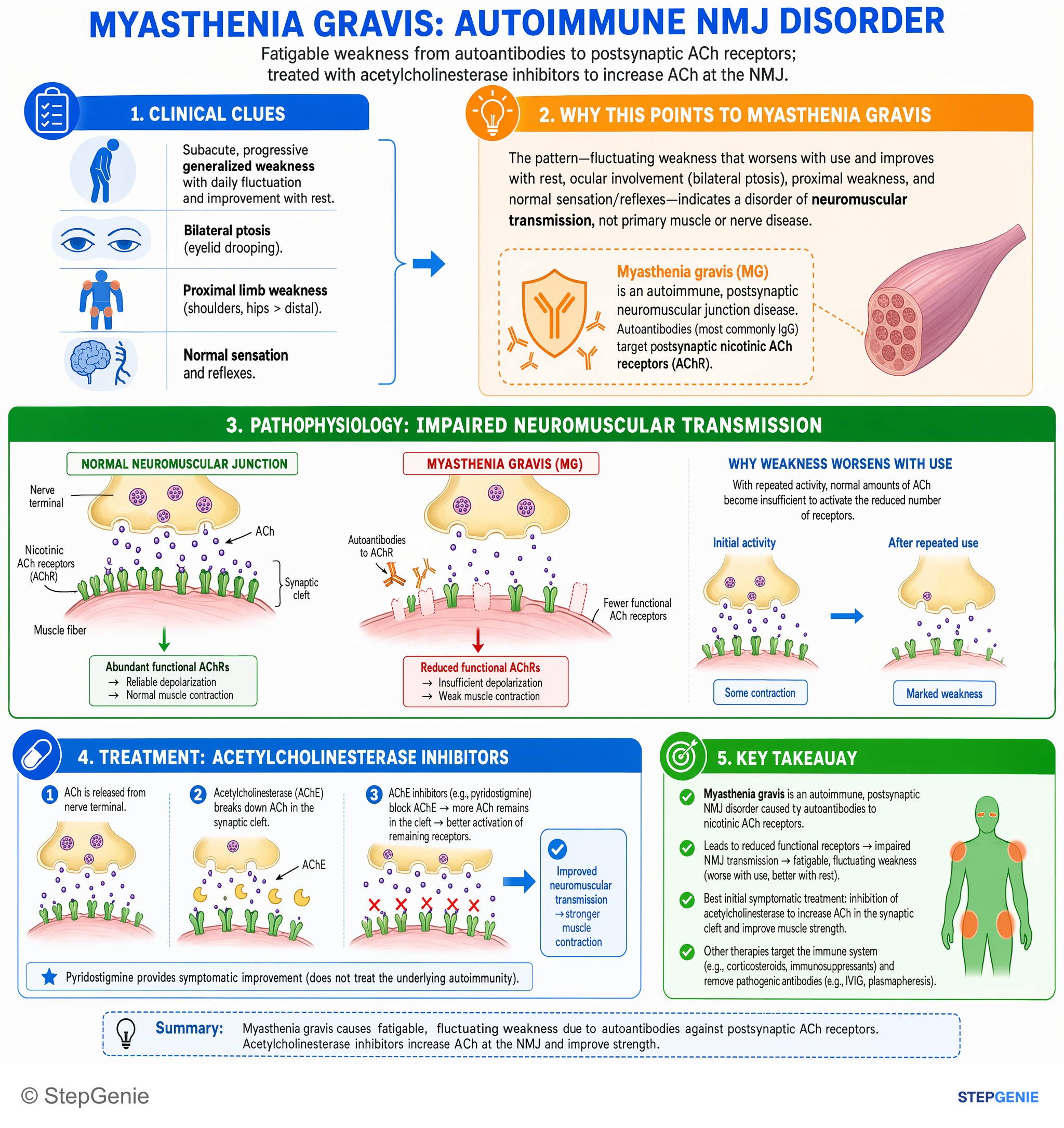 Drug effects / Toxic neuropathies — StepGenie USMLE Step 1 explanation infographic