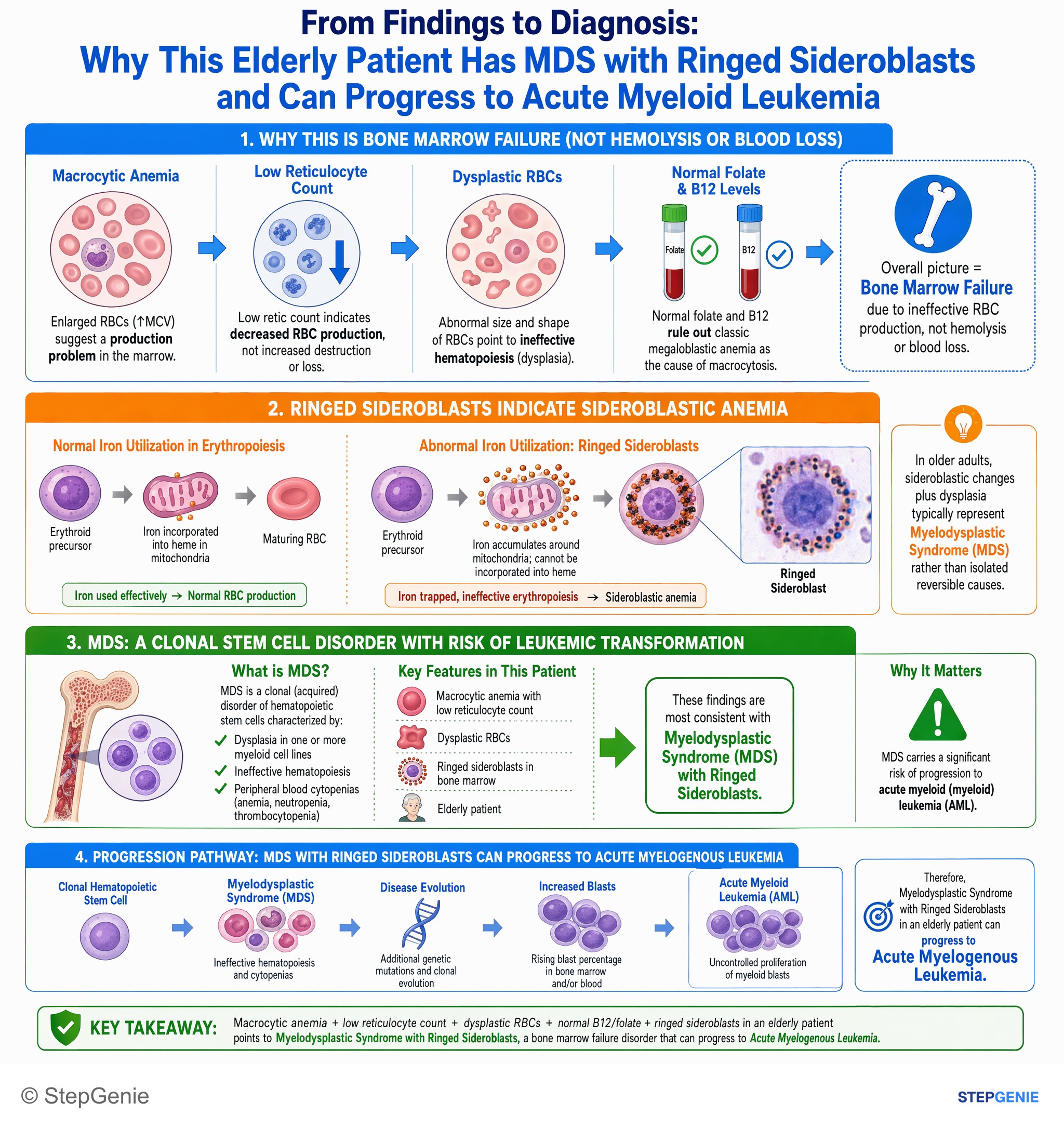 Bone marrow disorders — StepGenie USMLE Step 1 explanation infographic