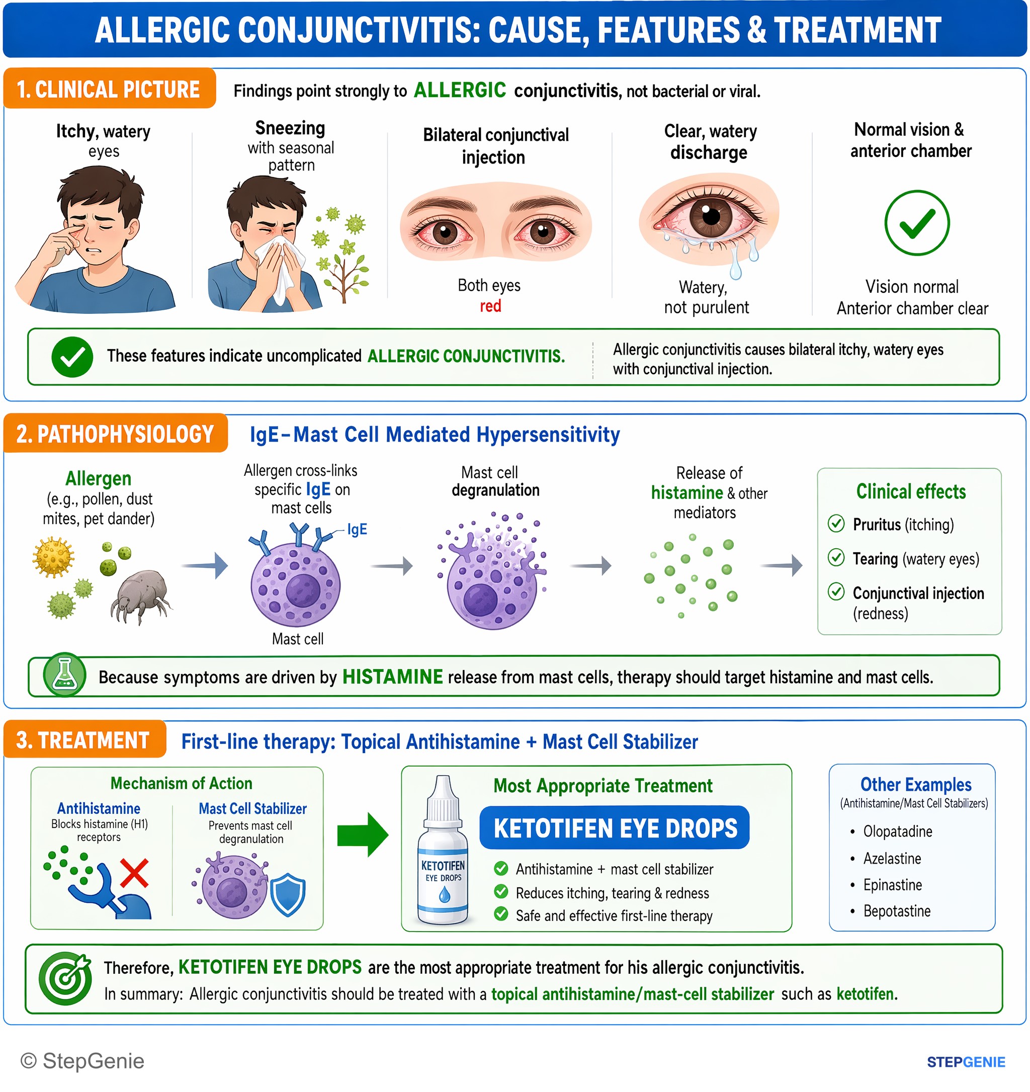 Anaphylaxis and allergic reactions — StepGenie USMLE Step 2 explanation infographic