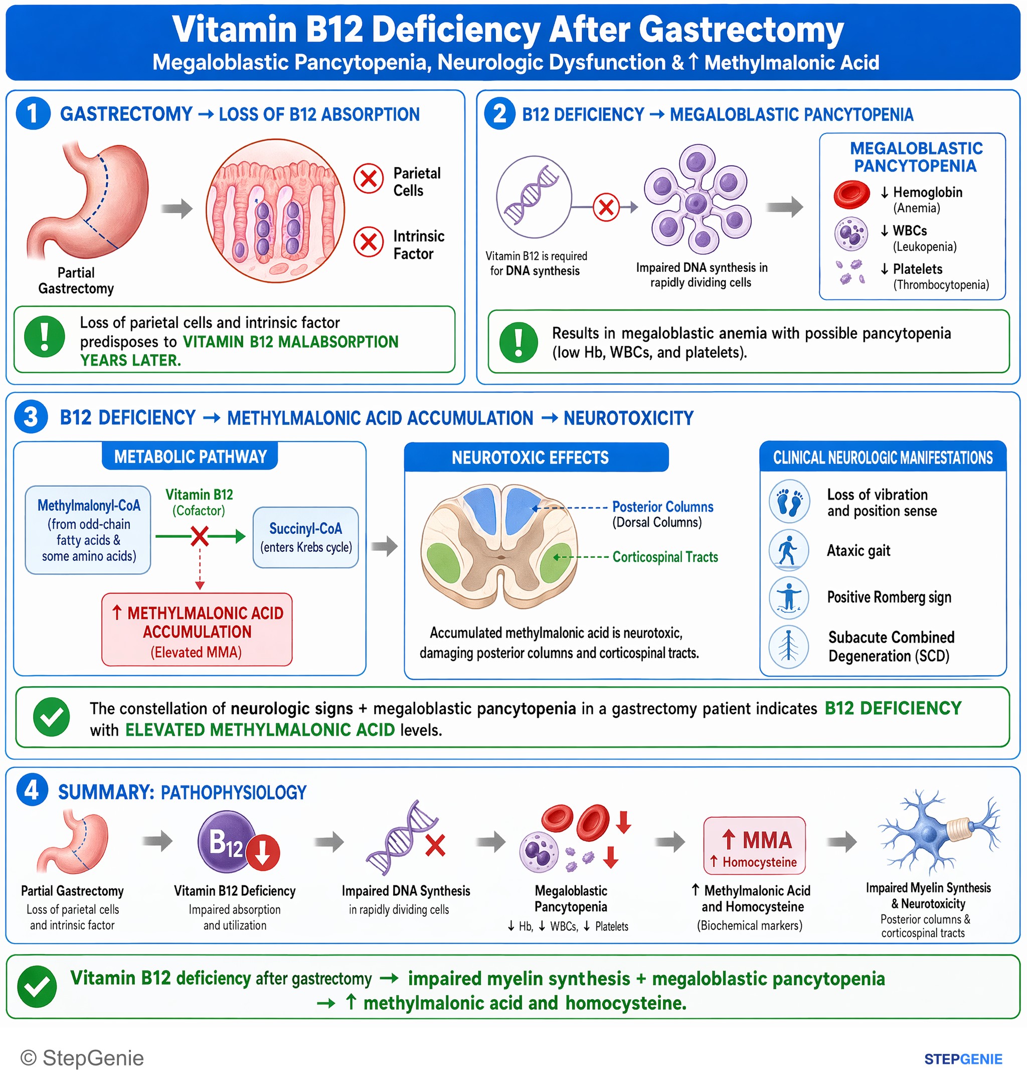 Disorders of nutrition — StepGenie USMLE Step 1 explanation infographic
