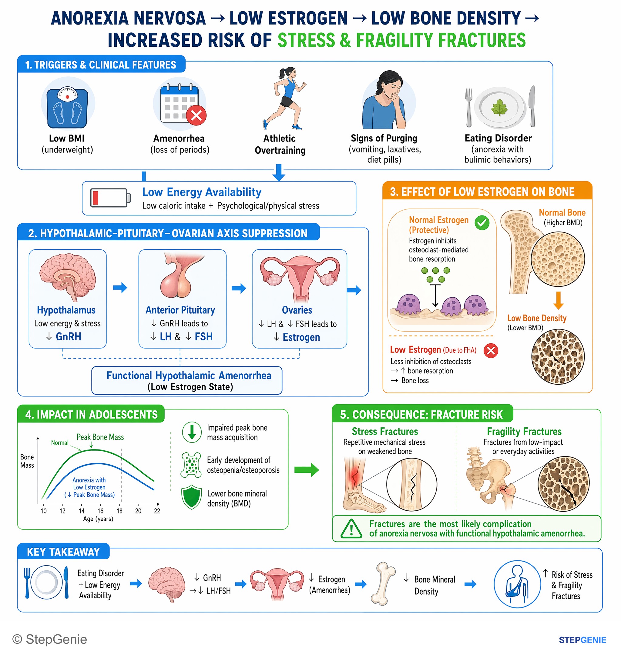 Step-by-step reasoning infographic: Anorexia nervosa with functional hypothalamic amenorrhea causes low estrogen → decreased bone mineral density → increased risk of stress and…