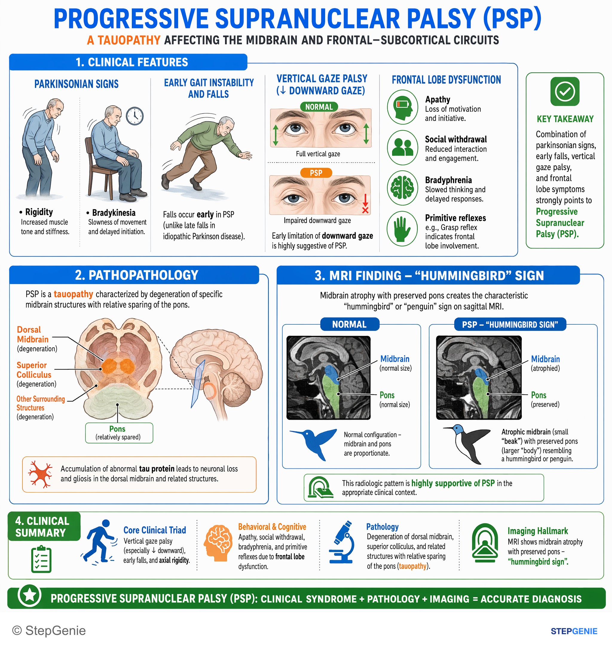 Neurodegenerative disorders and dementias — StepGenie USMLE Step 1 explanation infographic