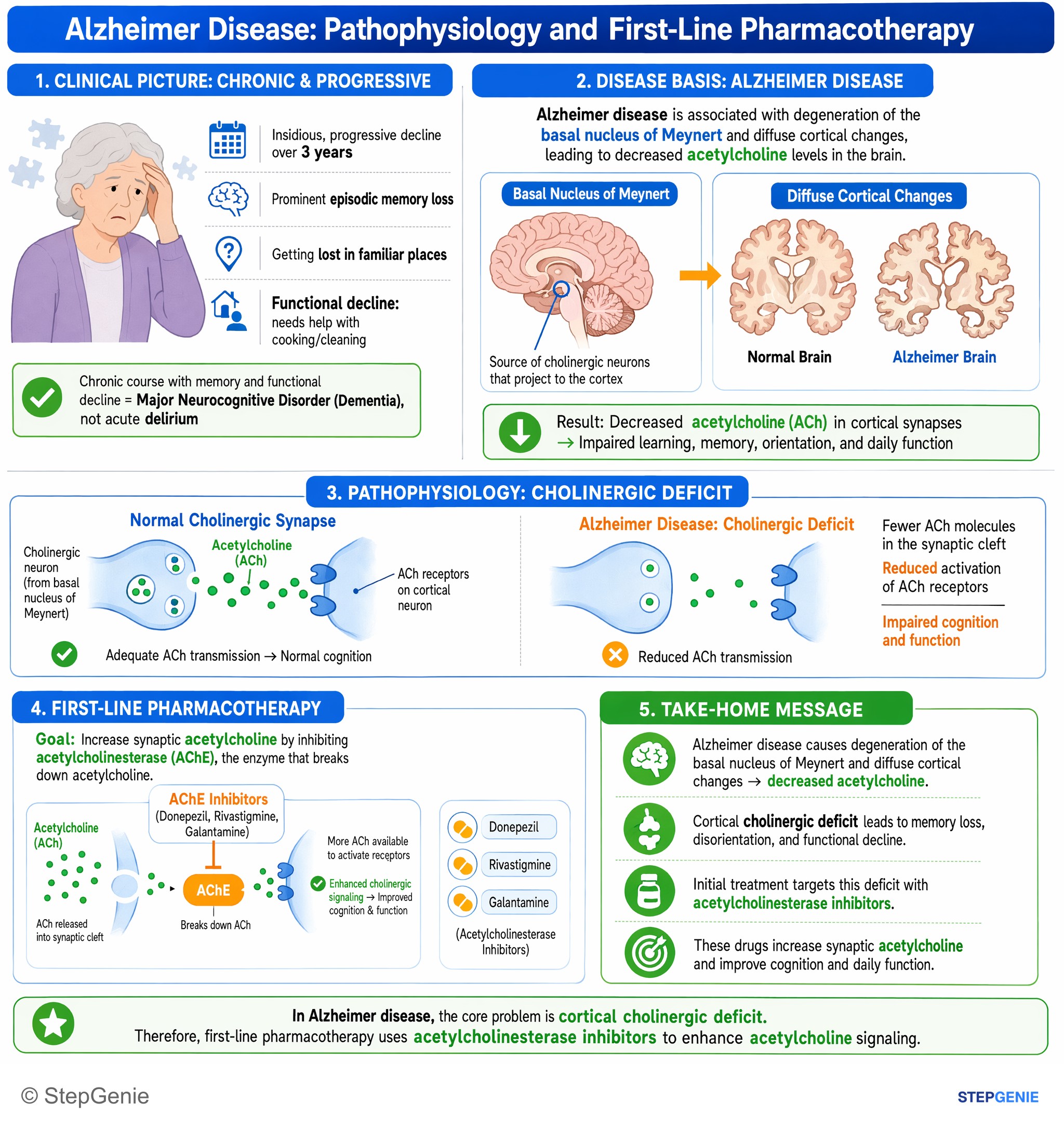 Drug effects / Toxic neuropathies — StepGenie USMLE Step 1 explanation infographic