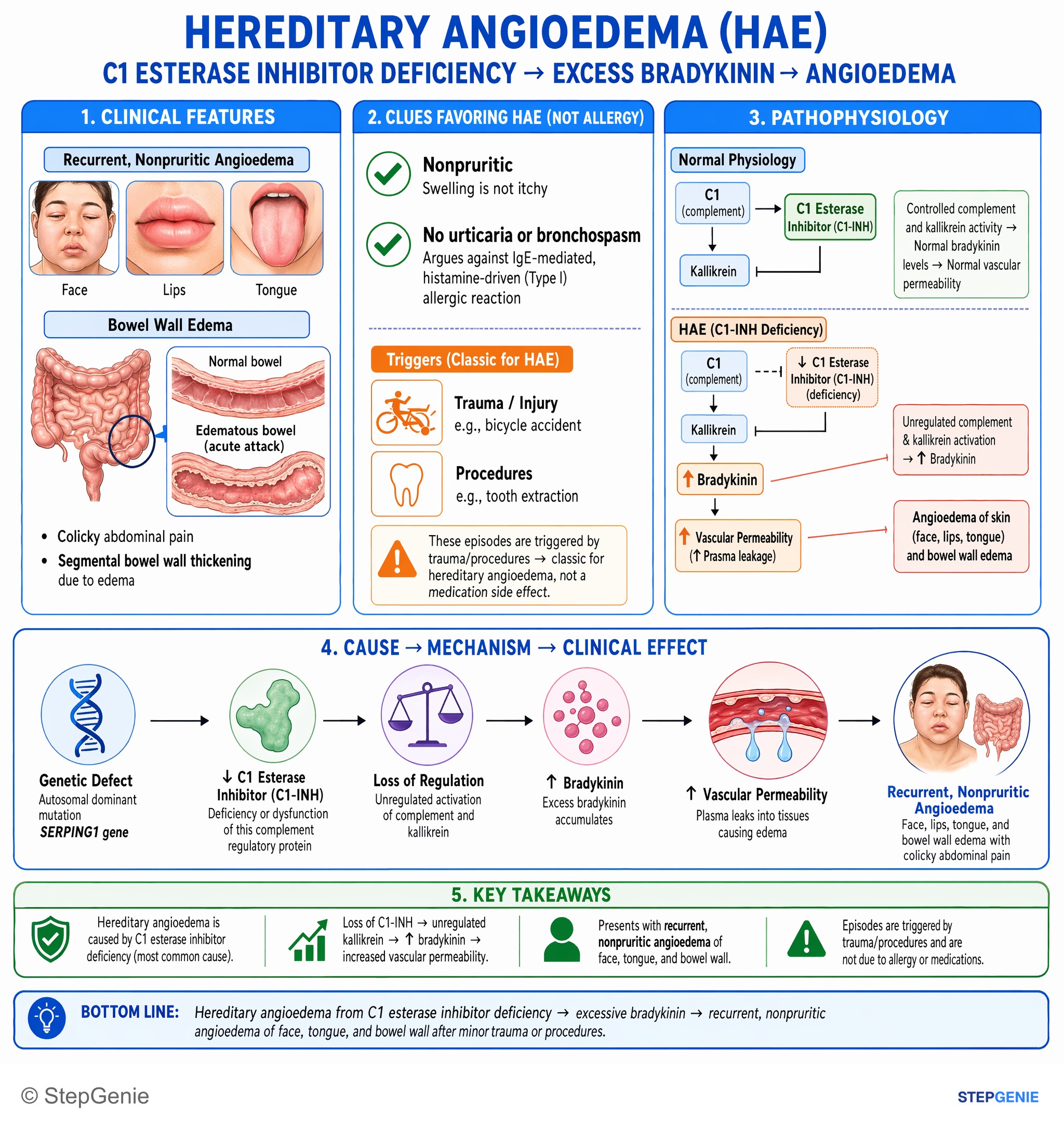 Hypersensitivity responses — StepGenie USMLE Step 1 explanation infographic